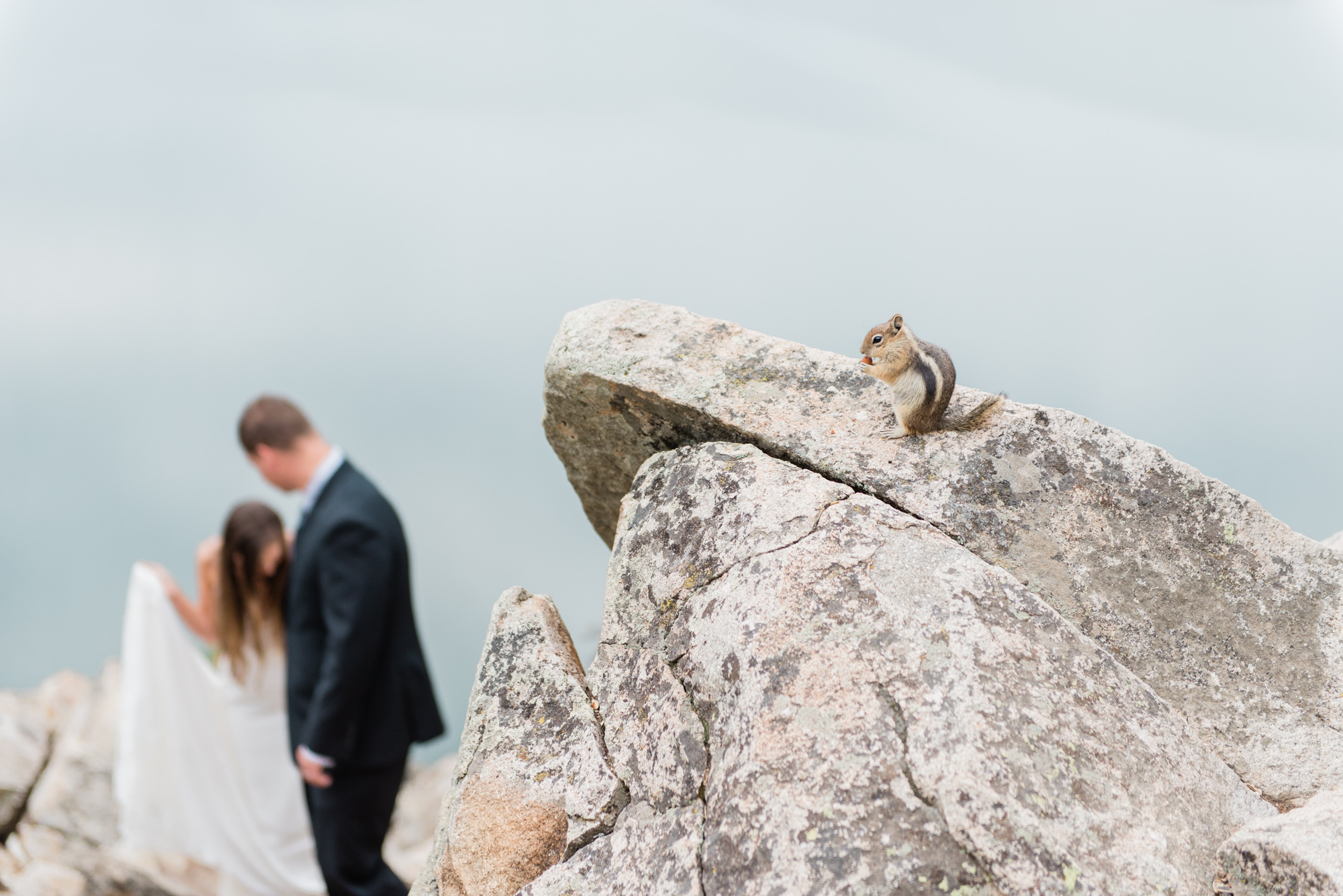 AshleighMillerPhotography-Elopement-Rachel-Justin-Colorado-33.jpg