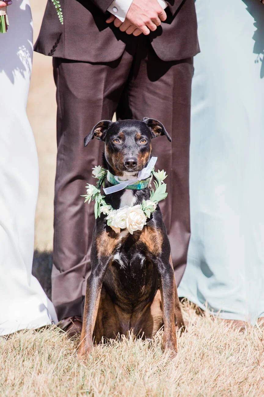 AshleighMillerPhotography-Wedding-BeccaWeston-WindingRiverRanch-GrandLake-Colorado-30.jpg