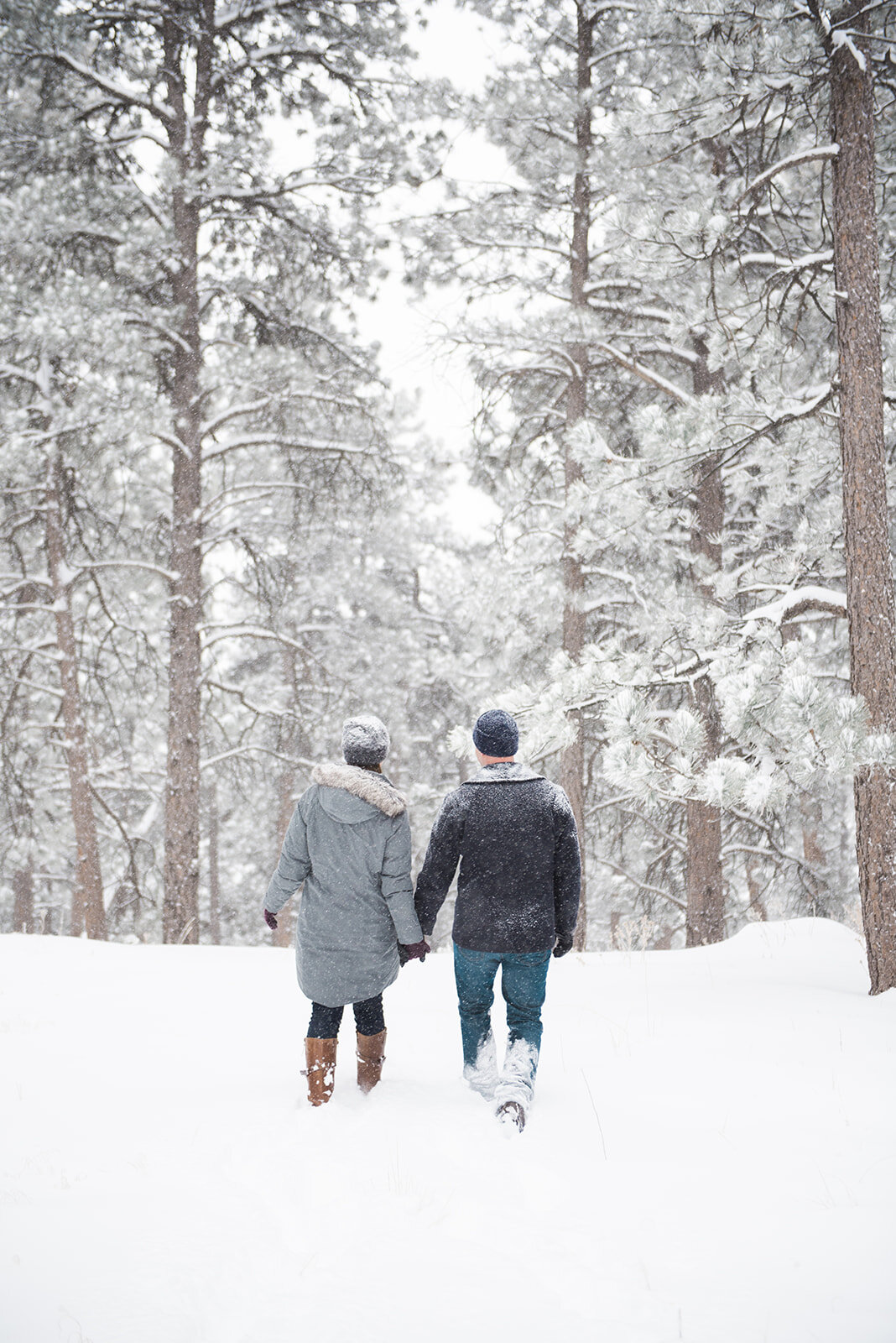 Winter Proposal Ideas