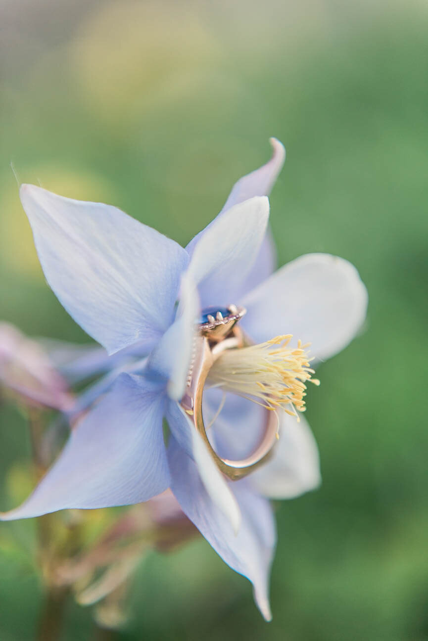 Indian Peaks Wilderness Mountain Adventure Engagement Photography Session