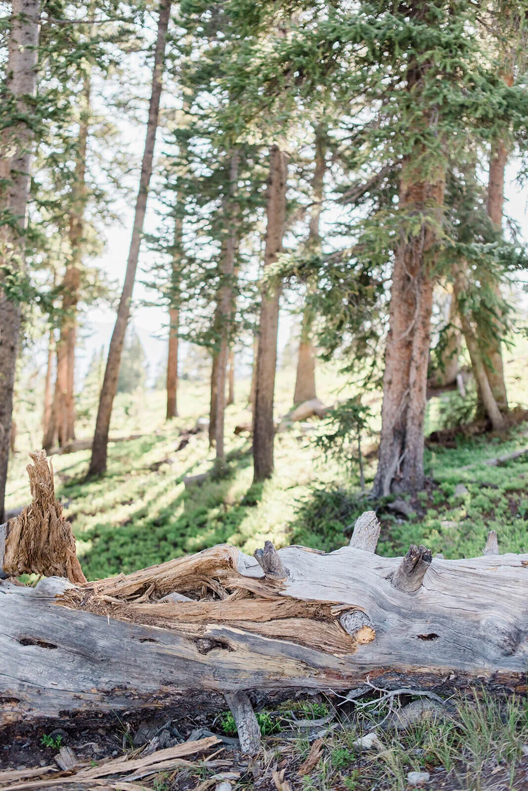 Keystone Resort Engagement Photography Session