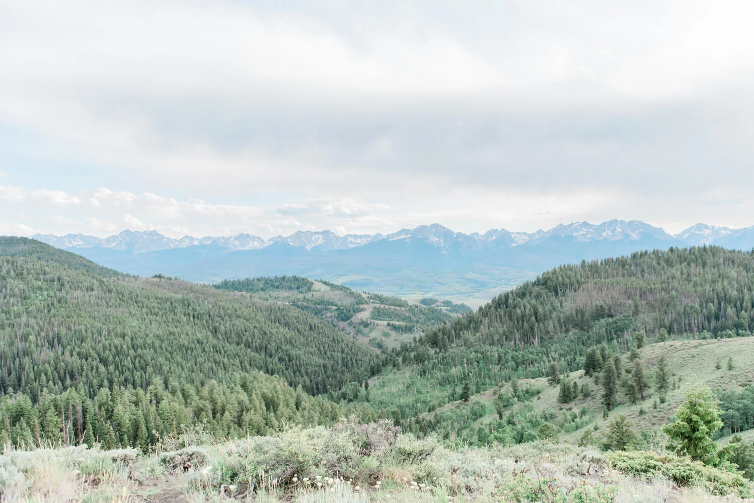 Intimate Colorado Mountain Ute Peak Wedding Photography