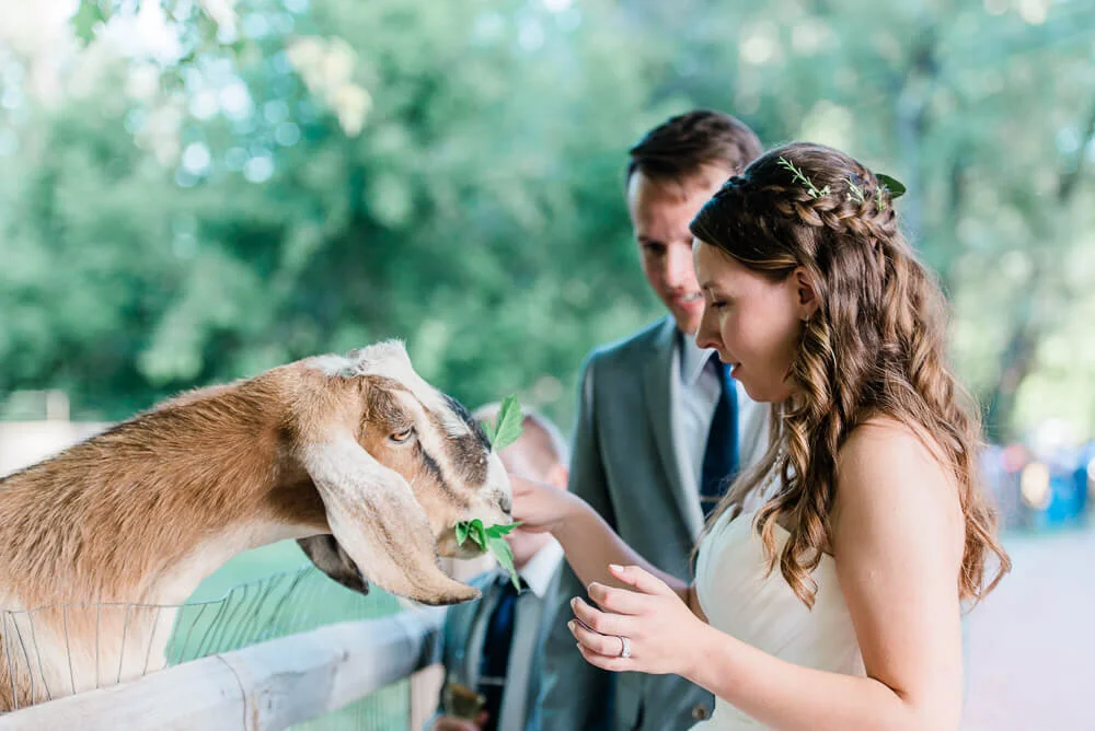 farmette-wedding-Mountain-Ashleigh-Miller-Photography-69.jpg