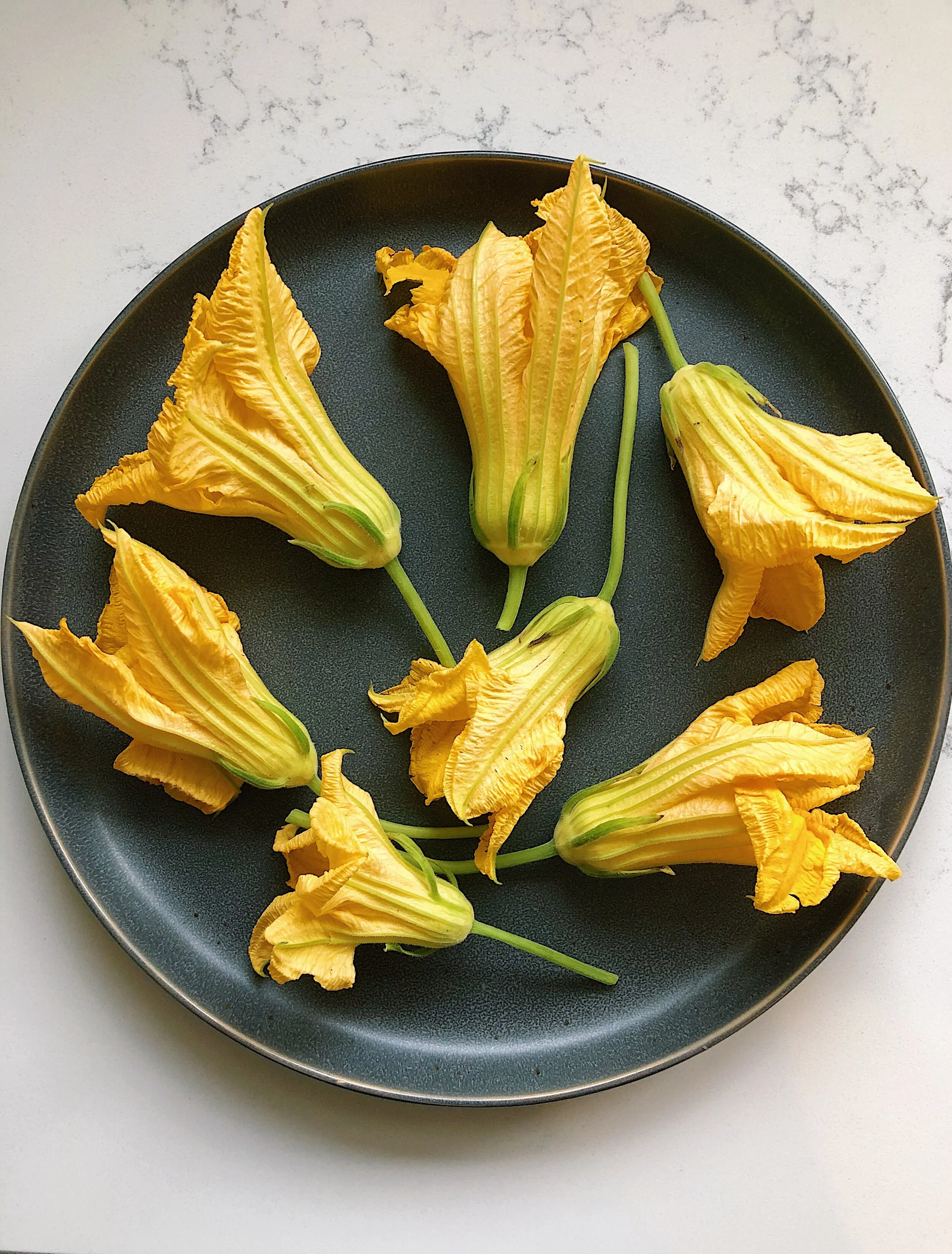 RICOTTASTUFFED SQUASH BLOSSOMS — CuliVino