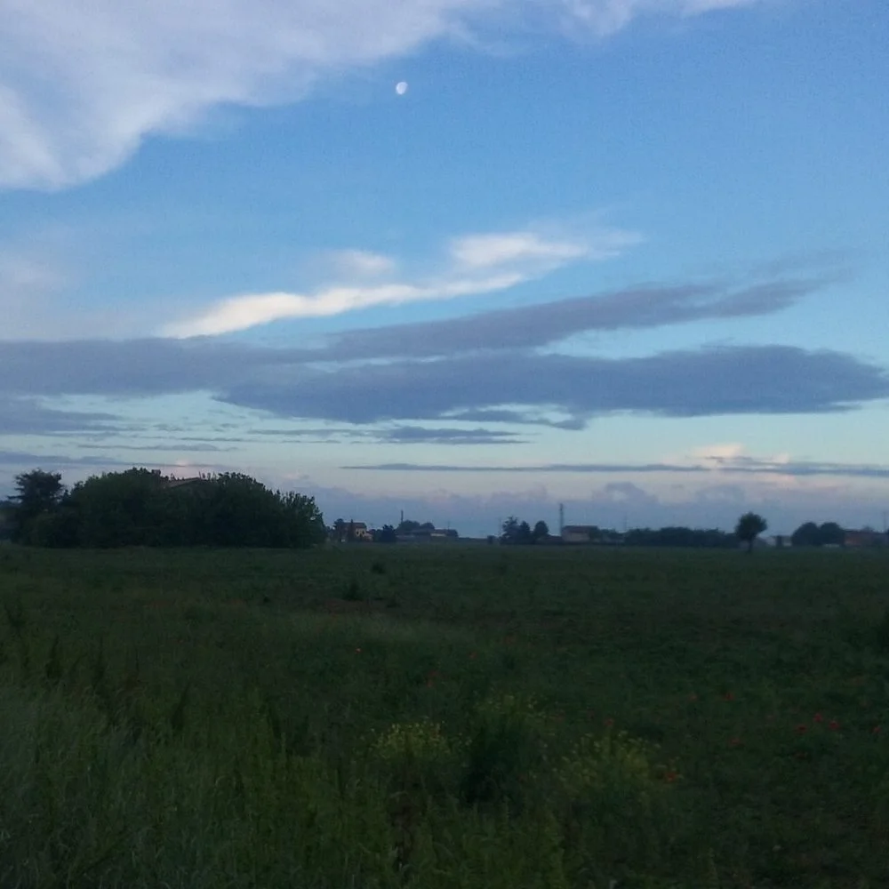 Bassa Modenese