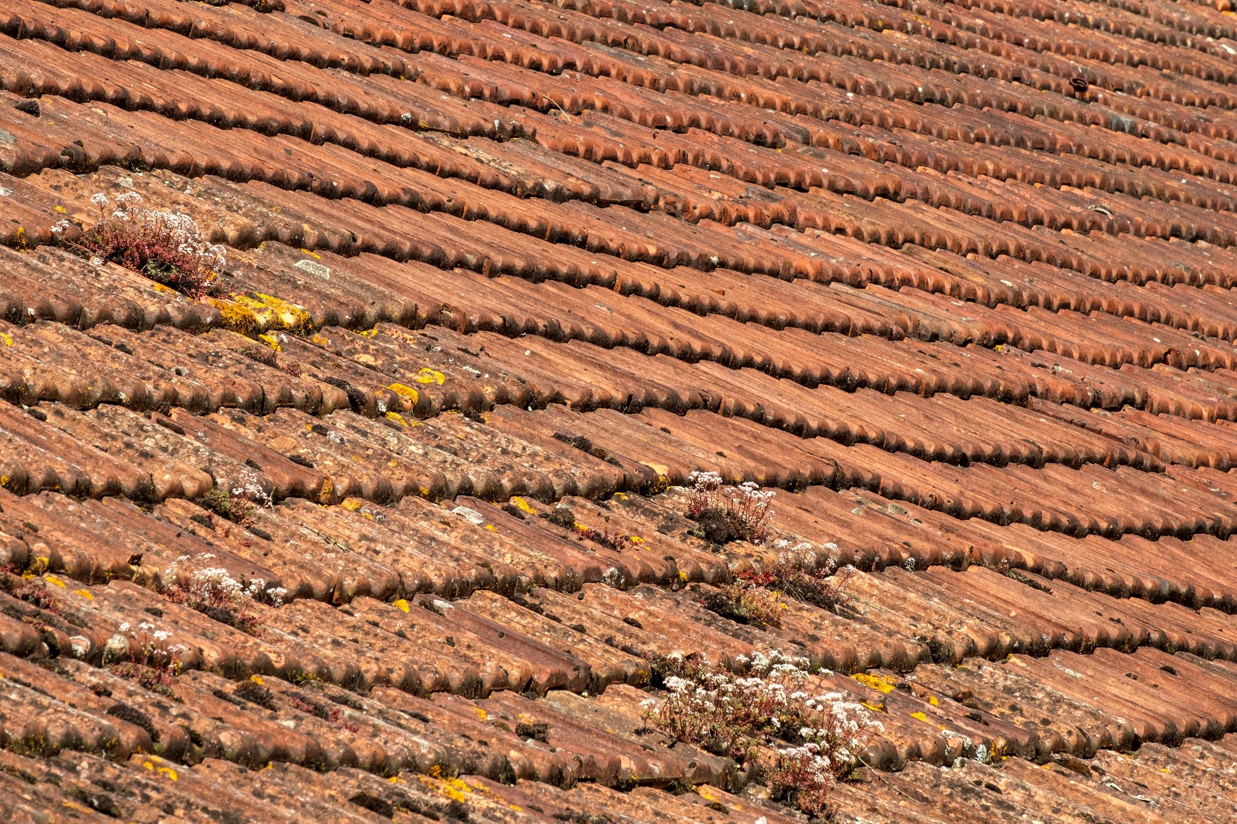 How to know when you need a roof replacement