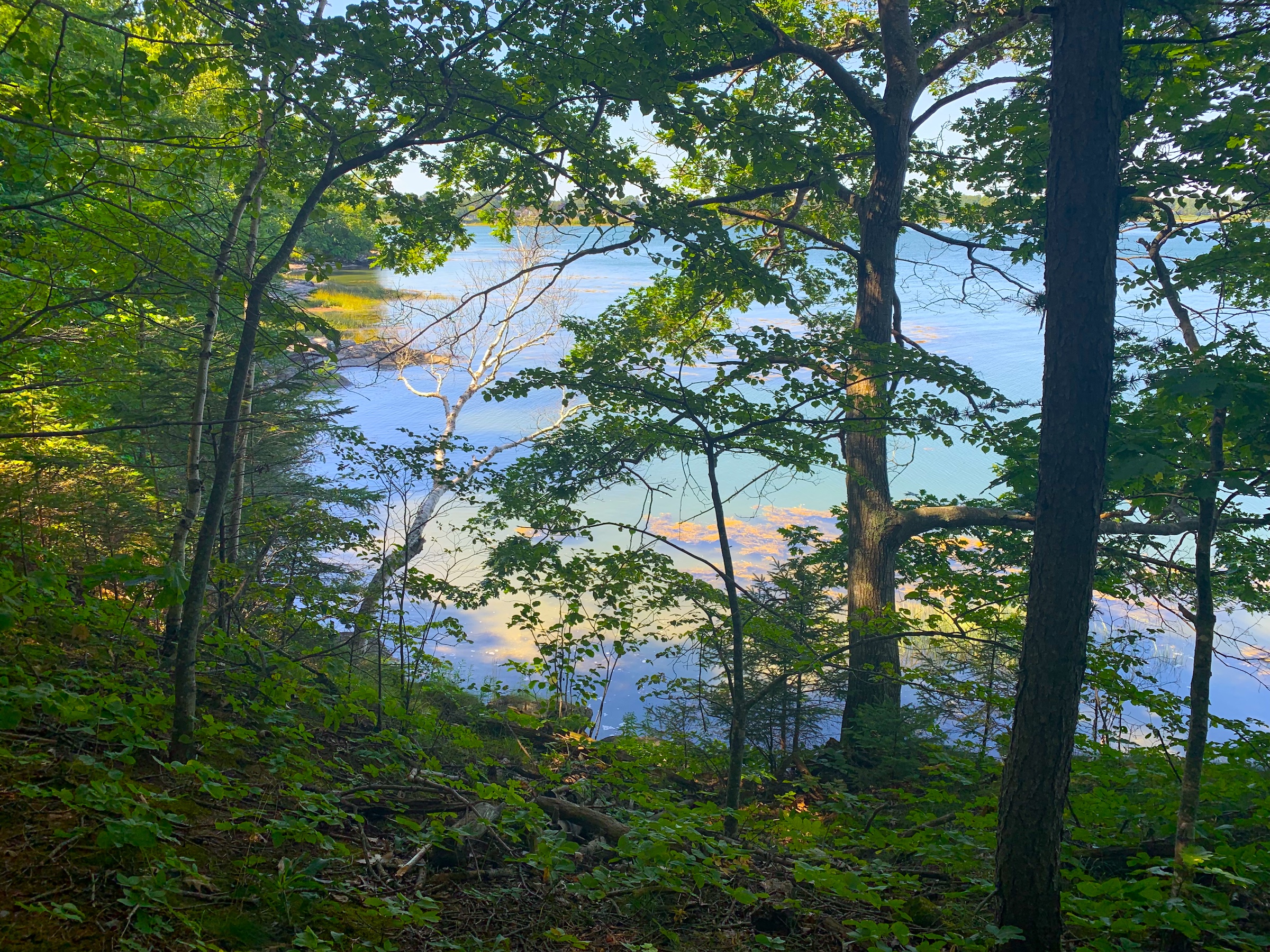 MacWorth Island.jpeg