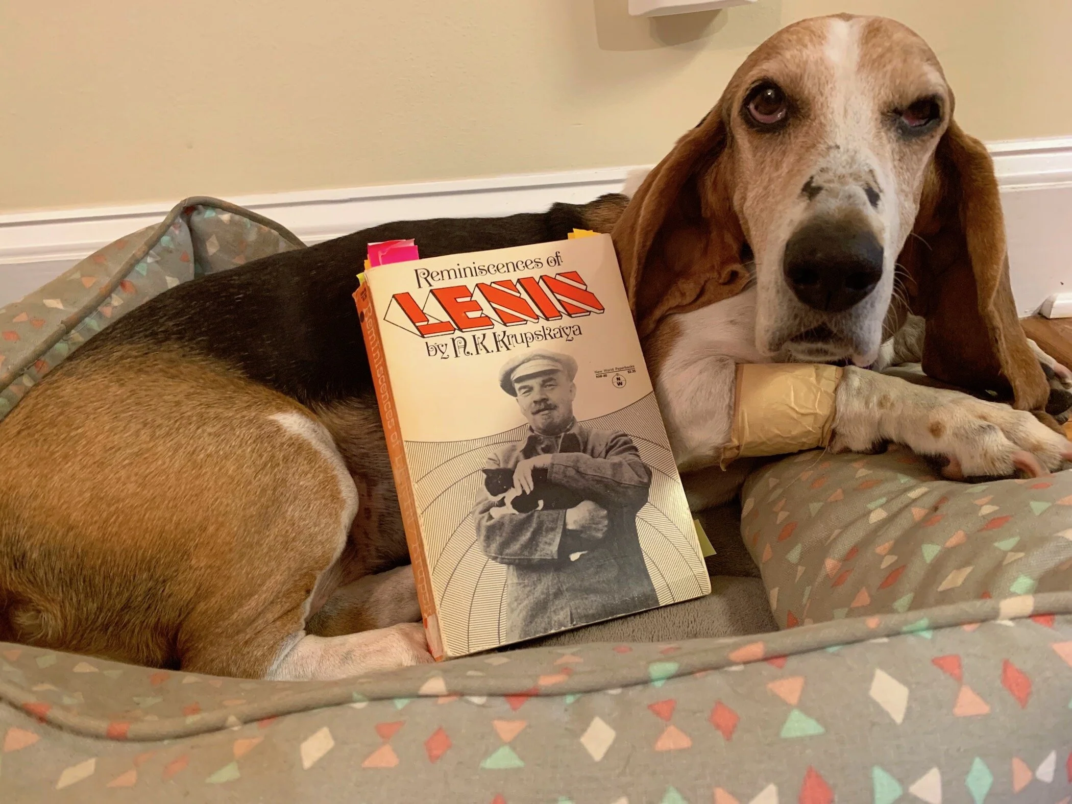 Krupskaya with Daisy.jpeg