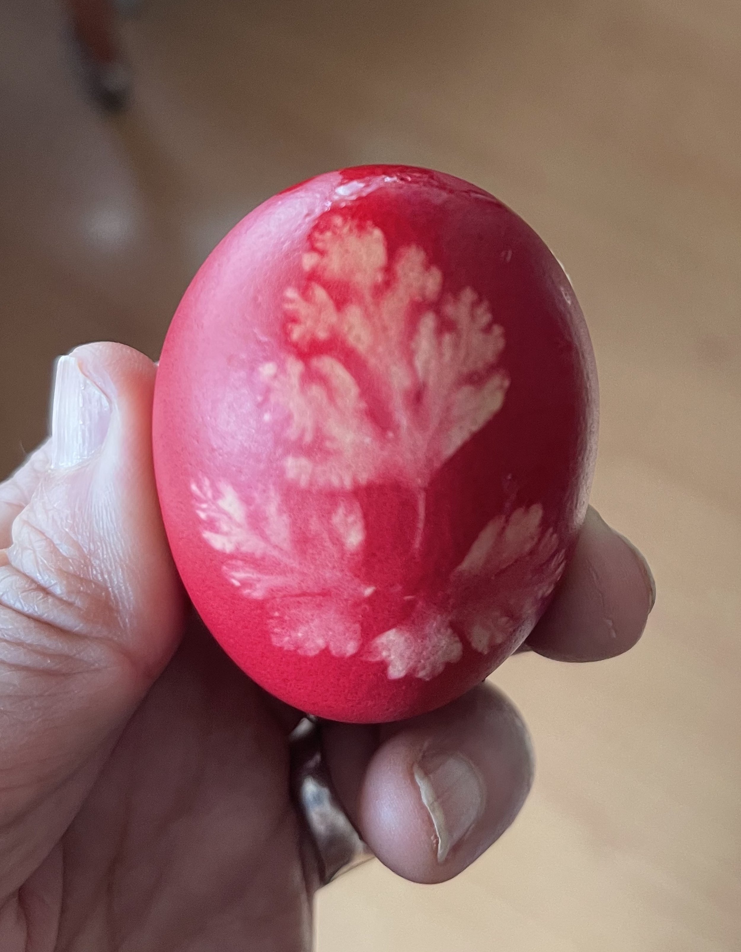 Bulgarian Easter Eggs 2.jpg