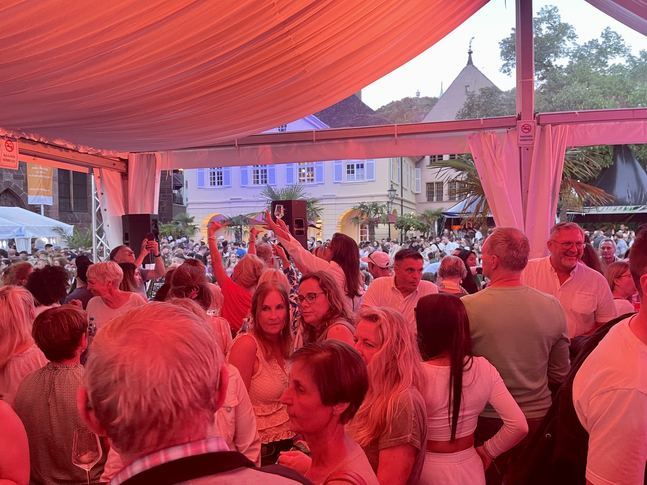 Freiburg weinfest 1.jpg