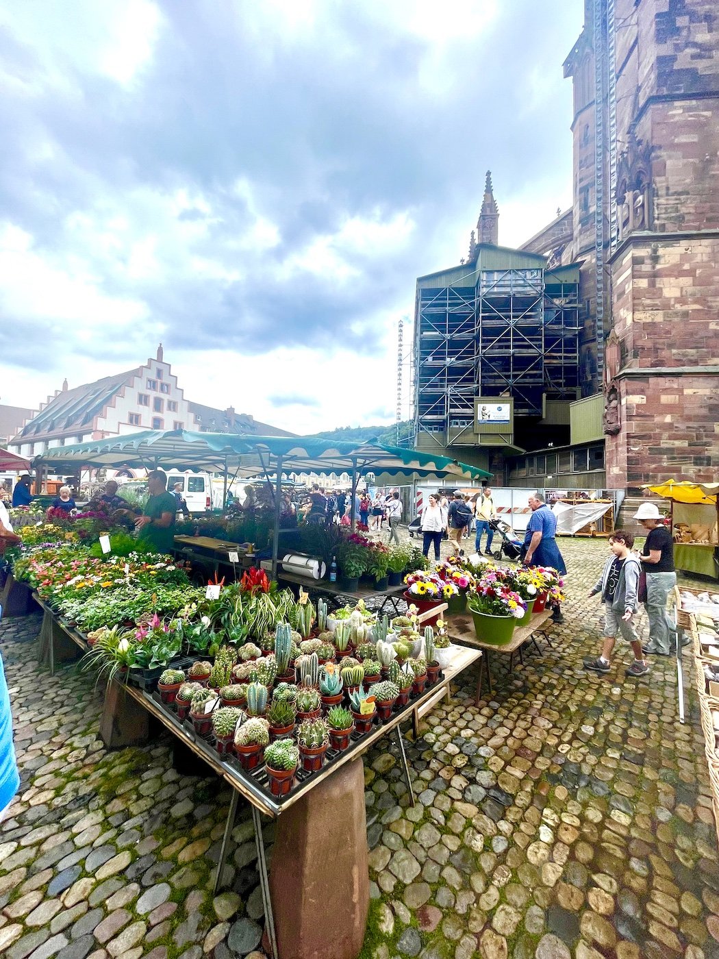 Freiburg market 1.jpg