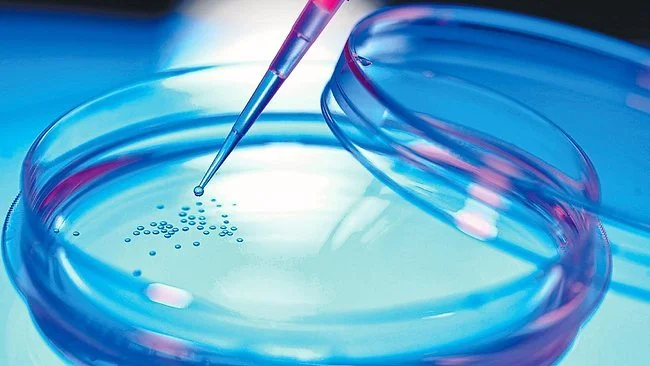 JWC_STEM_CELL_Research.jpg