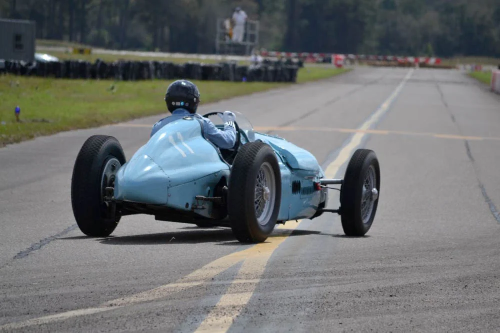 amelia2016-3.jpg