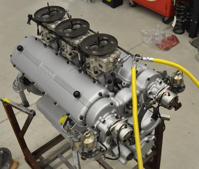 totfa-96.jpg
