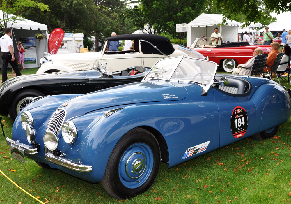 jaguar Number 670151