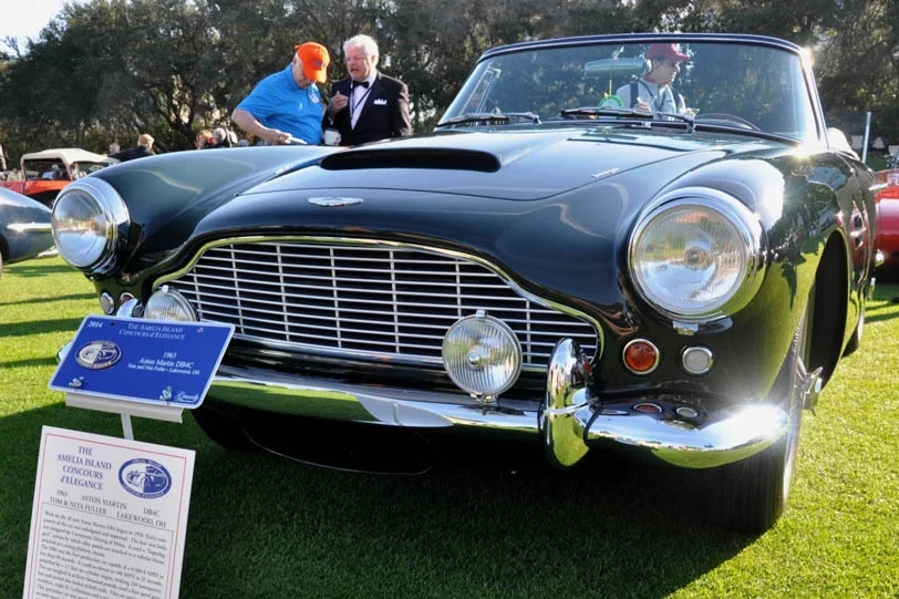 amelia2014-19.jpg