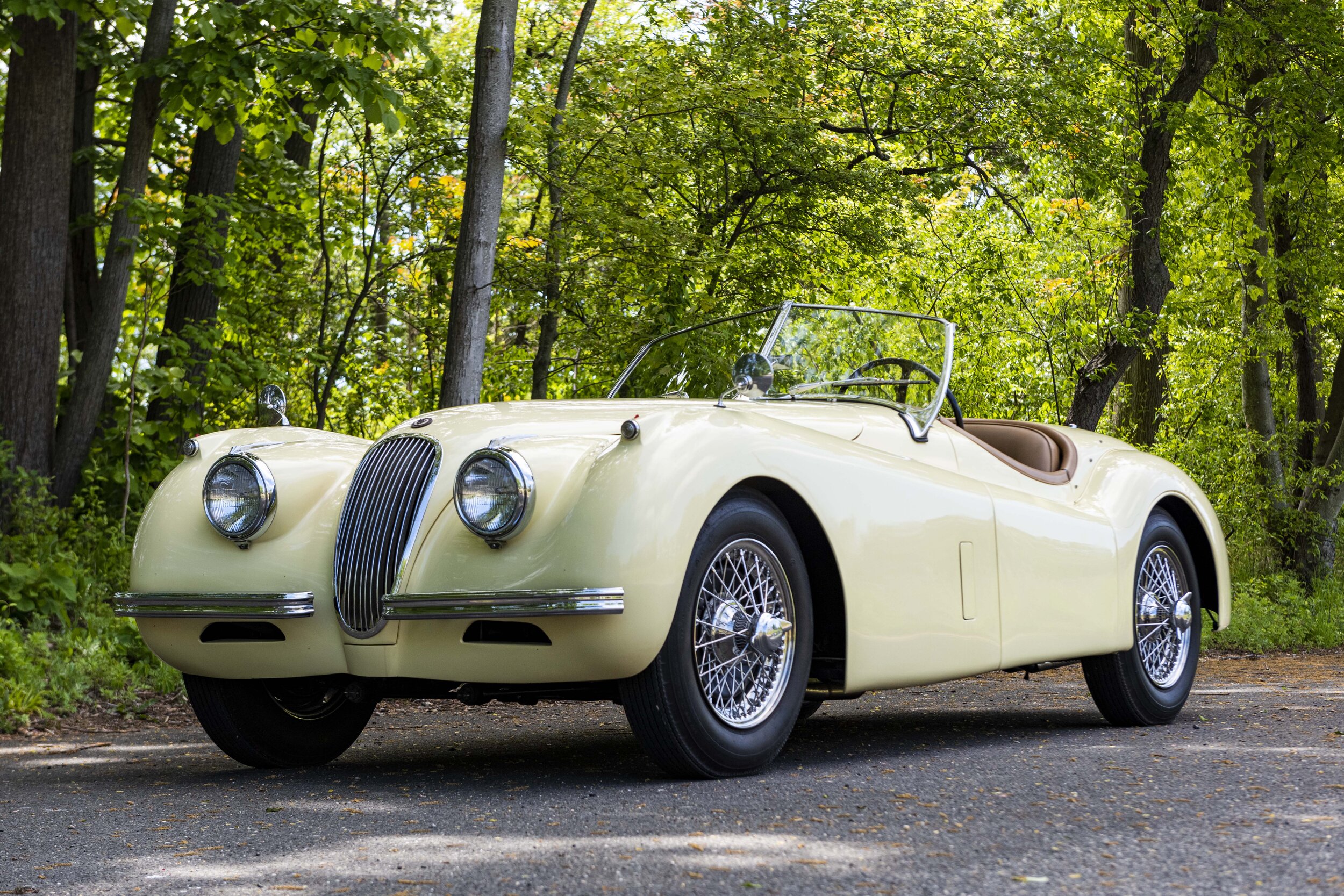 1954 Jaguar XK120 (10).jpg