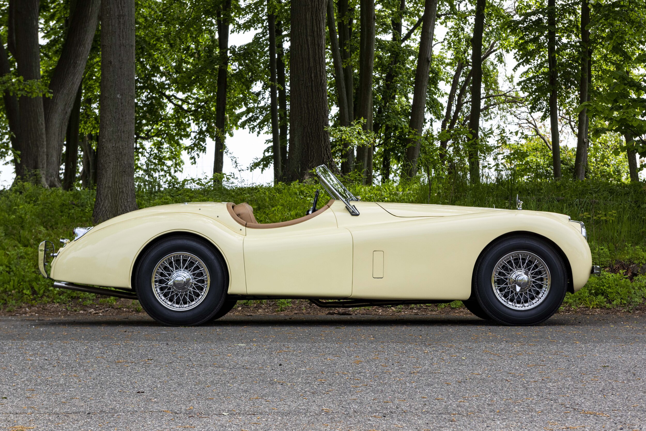 1954 Jaguar XK120 (1).jpg