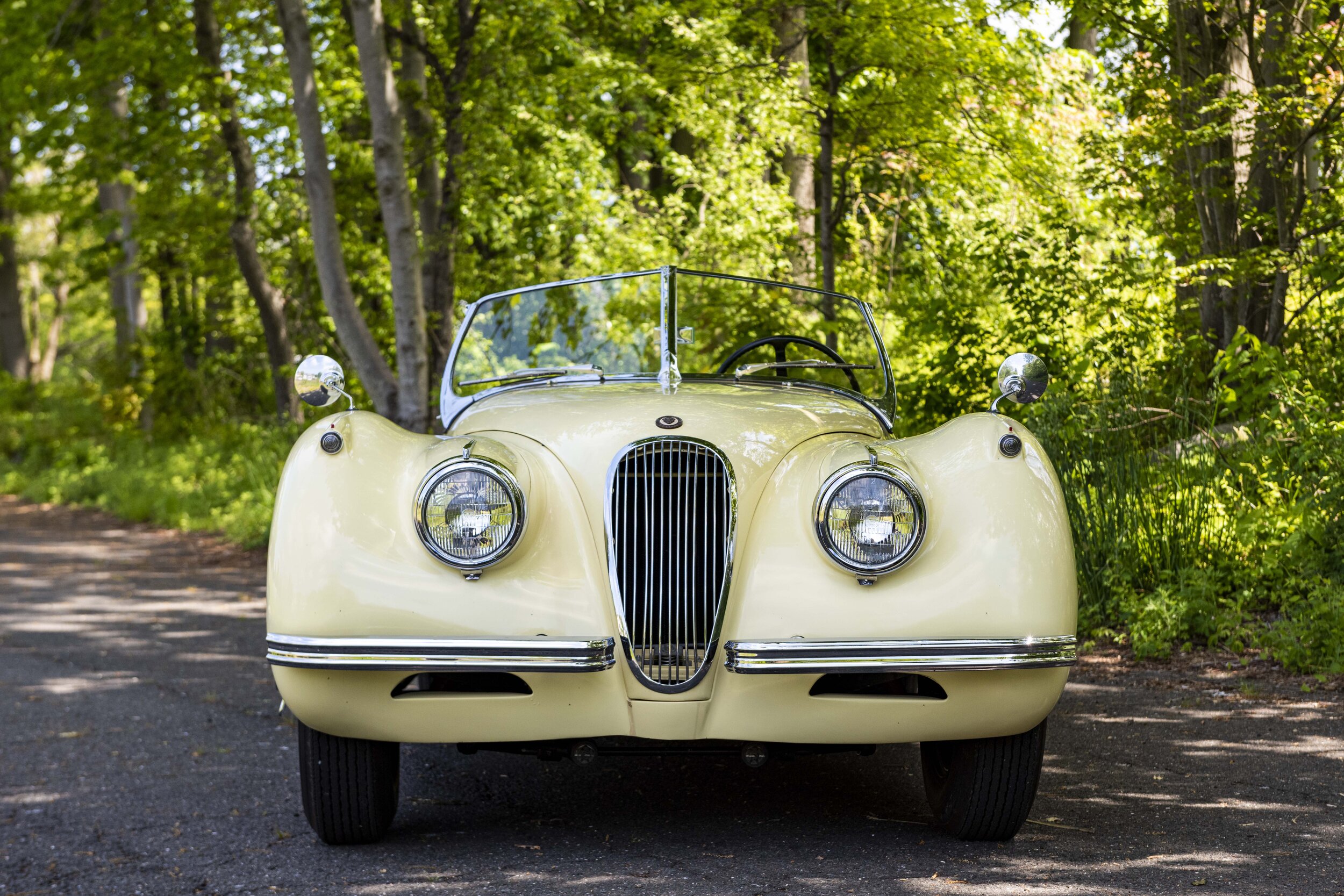 1954 Jaguar XK120 (4).jpg