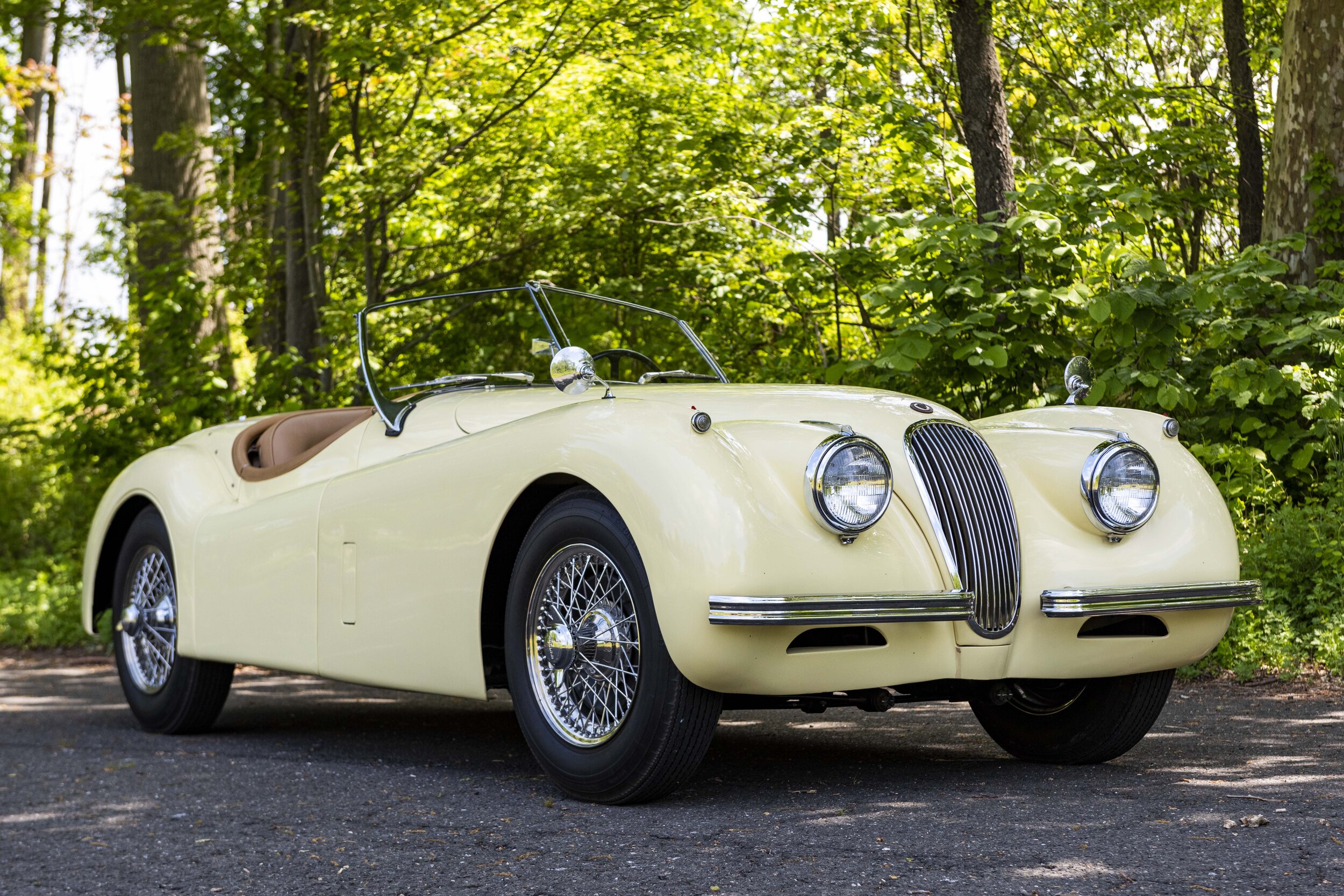 1954 Jaguar XK120 (5).jpg