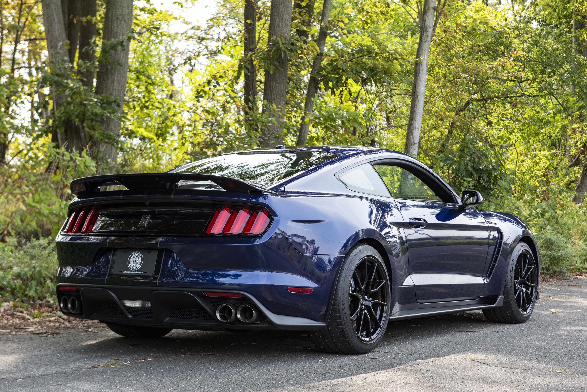 2019 Ford Mustang Shelby GT350 For Sale | Automotive Restorations, Inc ...