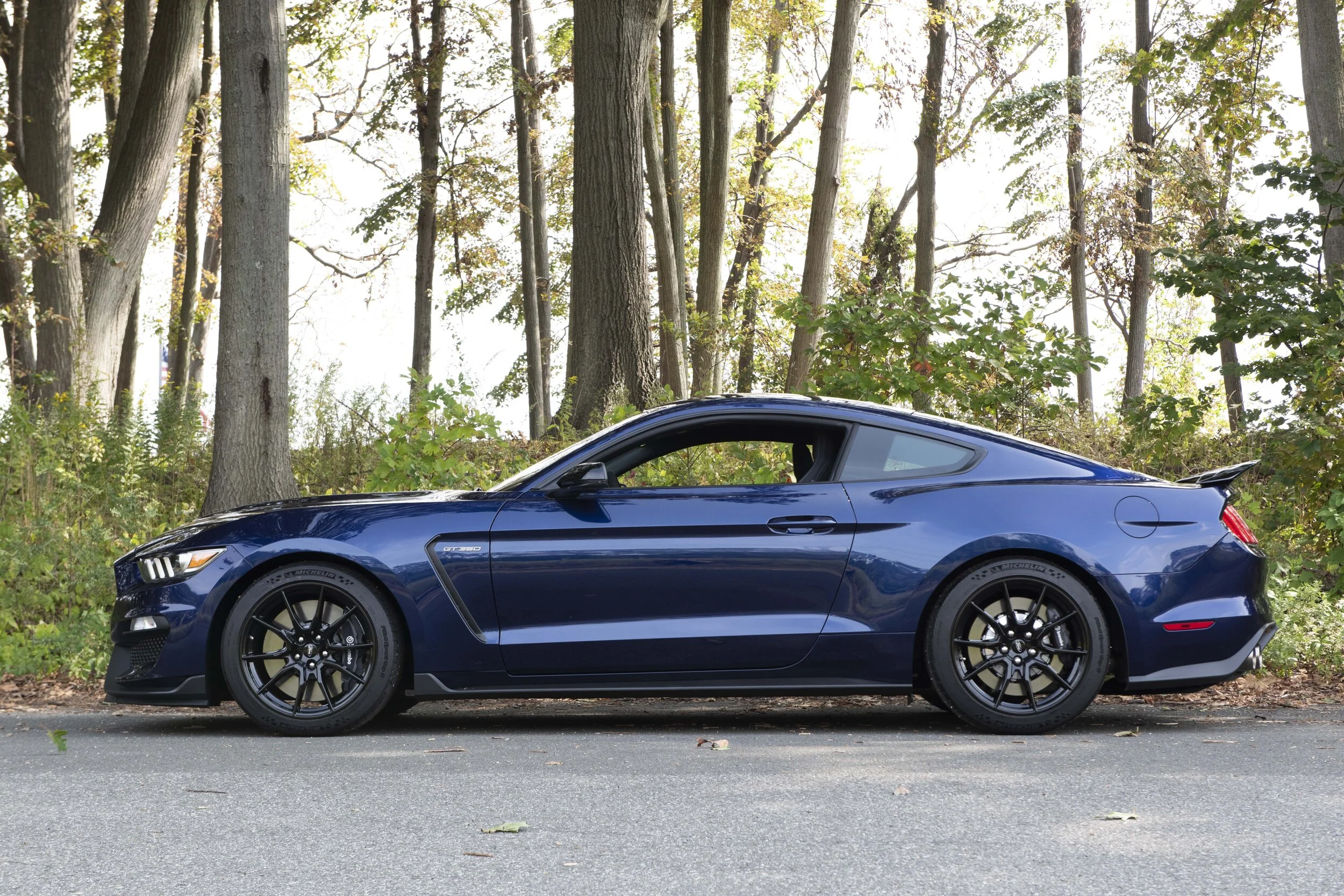 2019 Ford Mustang Shelby GT350 For Sale | Automotive Restorations, Inc