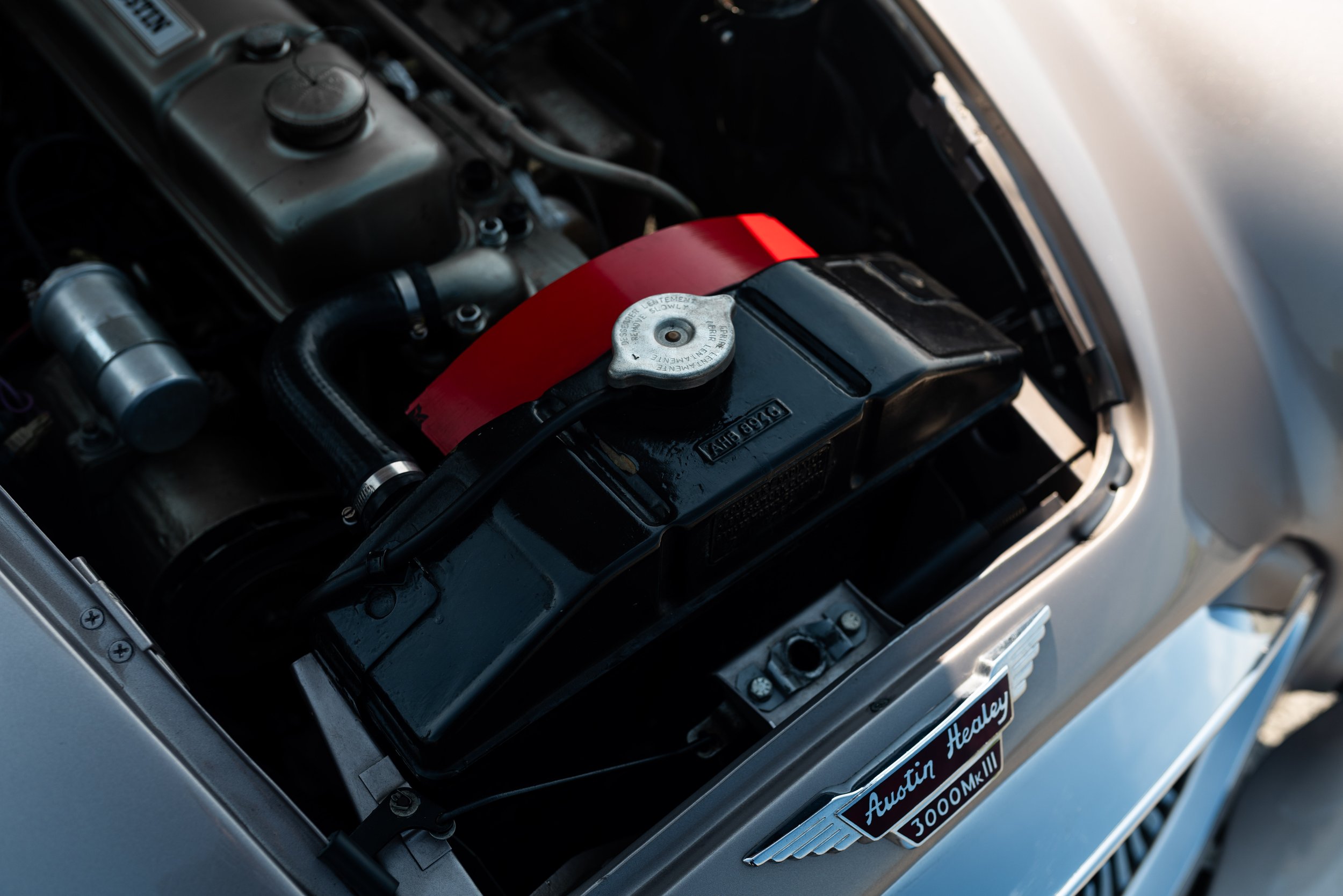 austin healey 3000-81.jpg