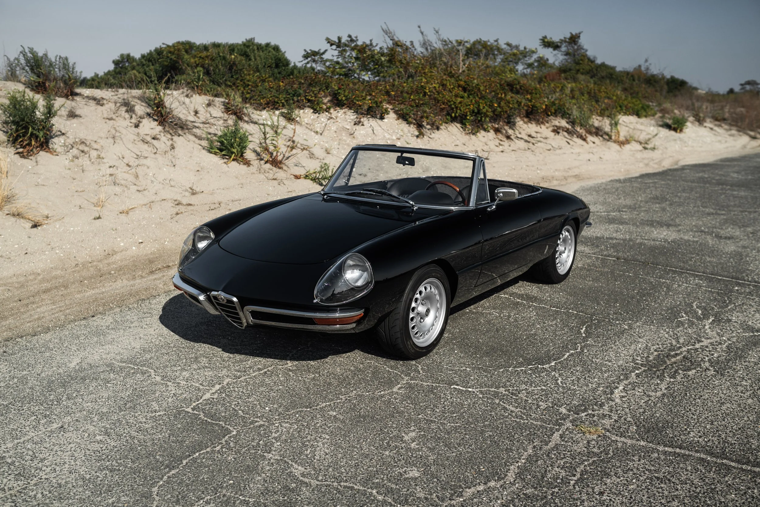 Alfa Romeo Spider.jpg