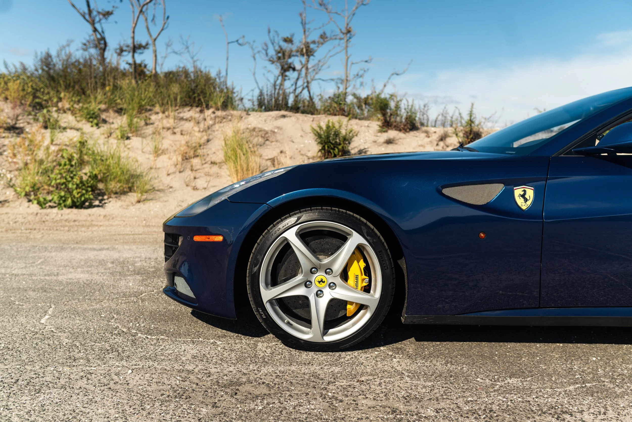 ferrrari ff-81.jpg