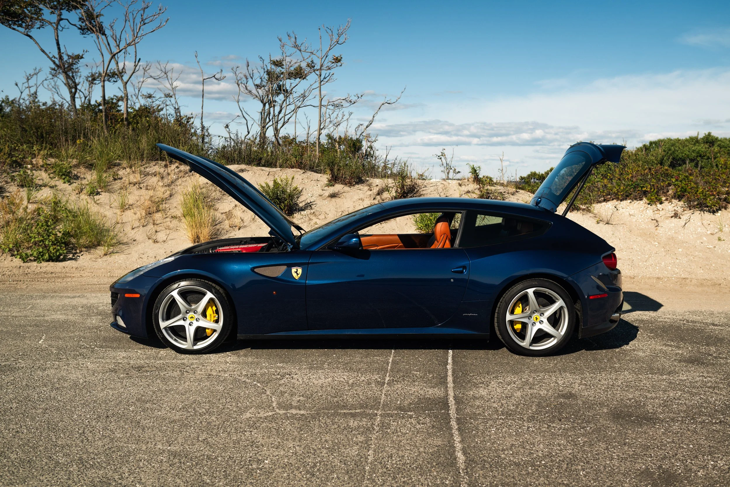 ferrrari ff-100.jpg