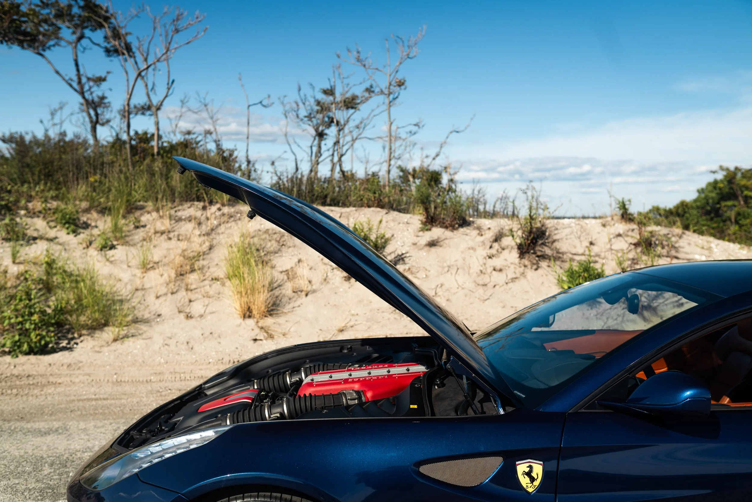 ferrrari ff-106.jpg