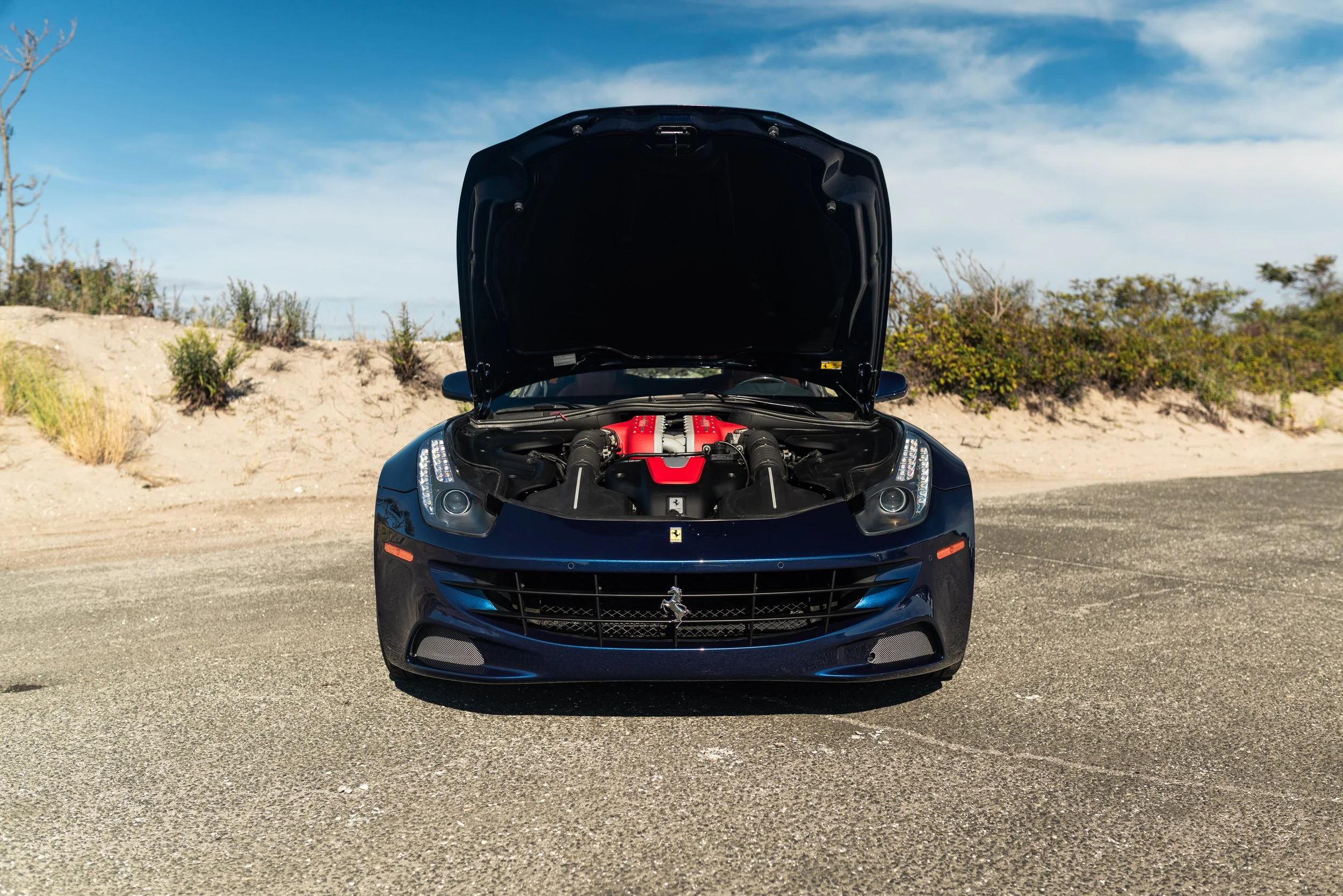 ferrrari ff-168.jpg