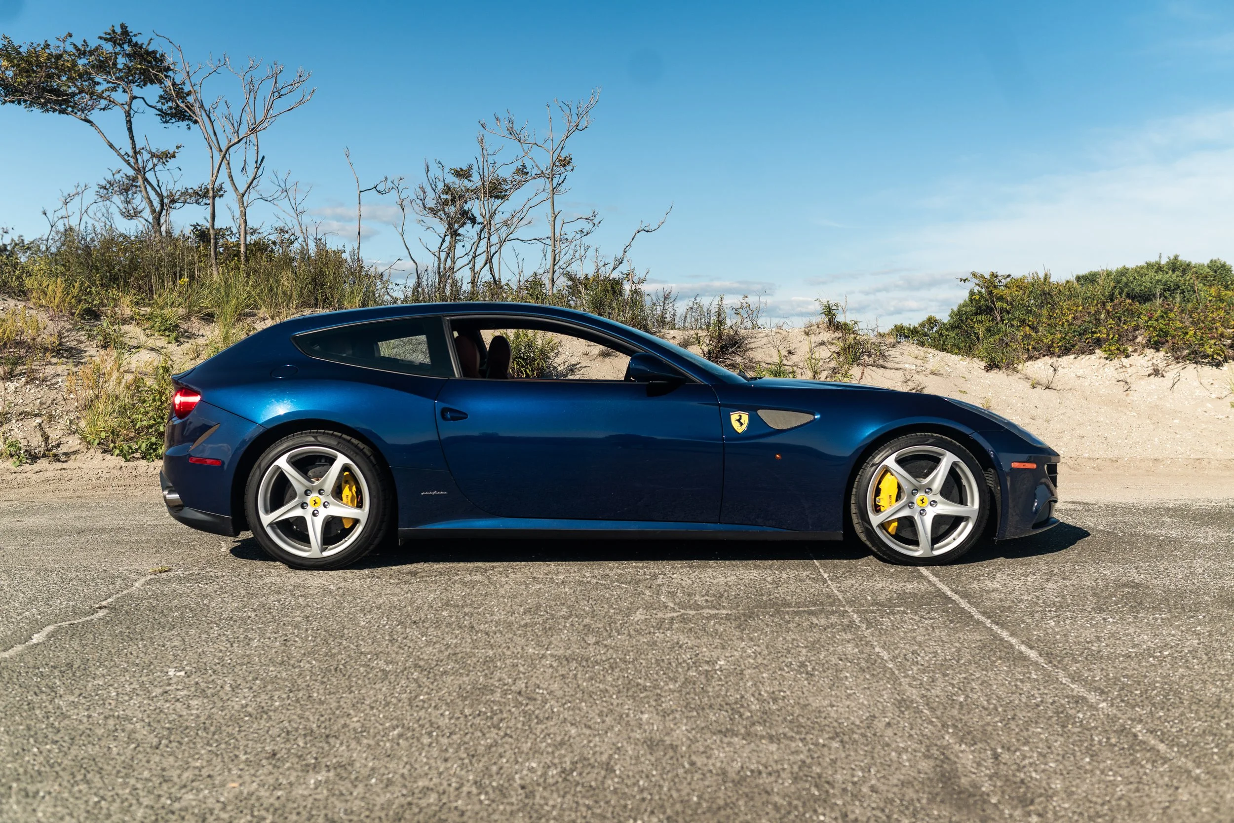 ferrrari ff-170.jpg