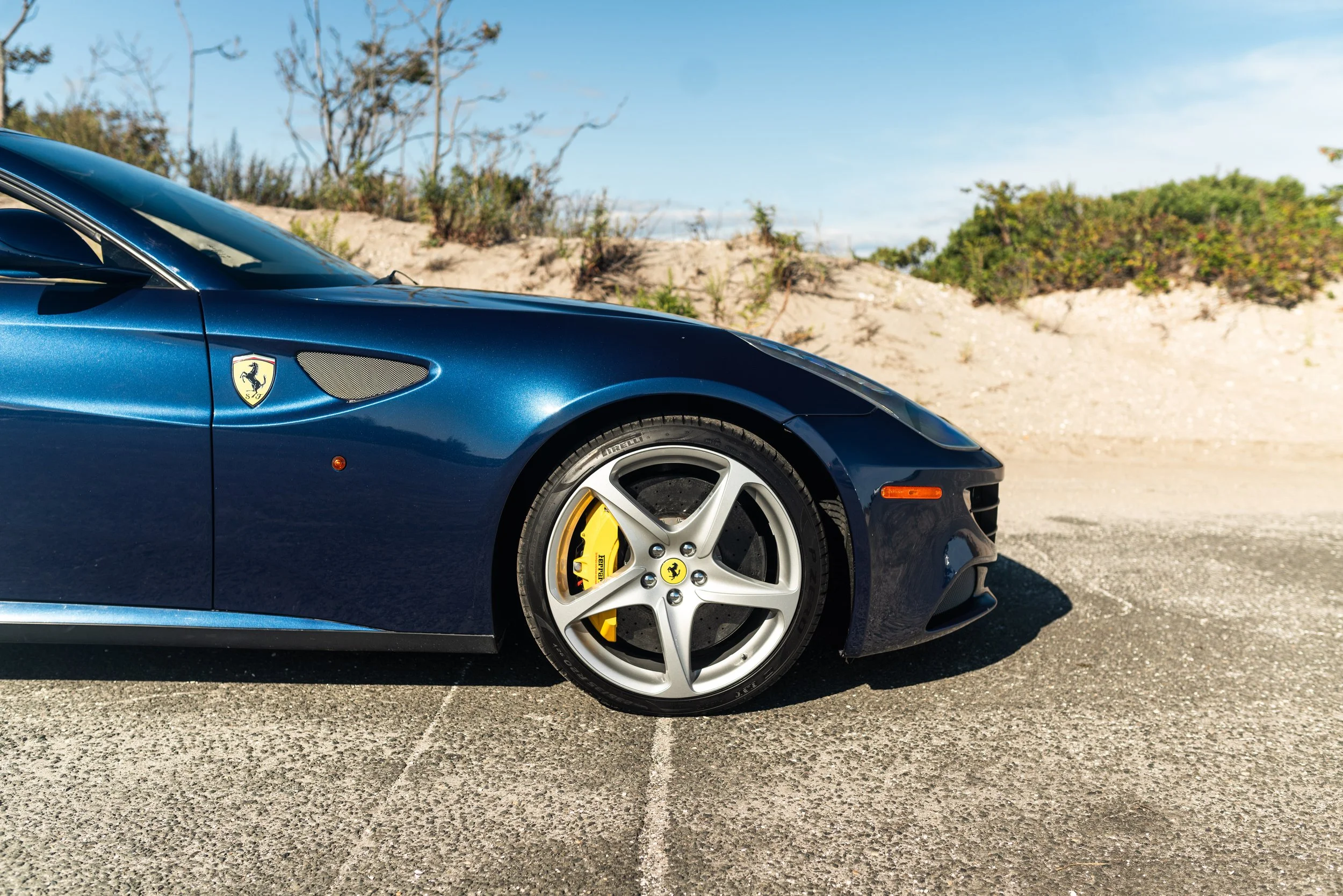 ferrrari ff-176.jpg