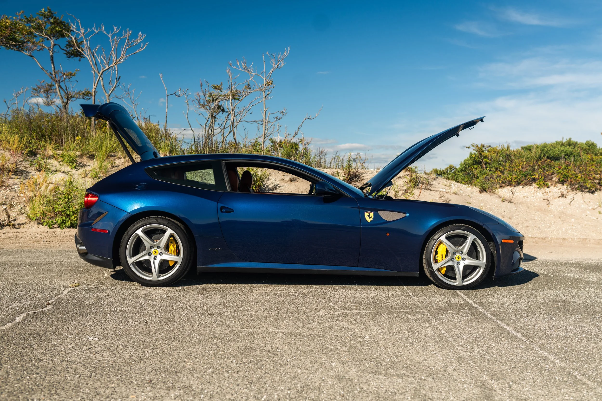 ferrrari ff-201.jpg