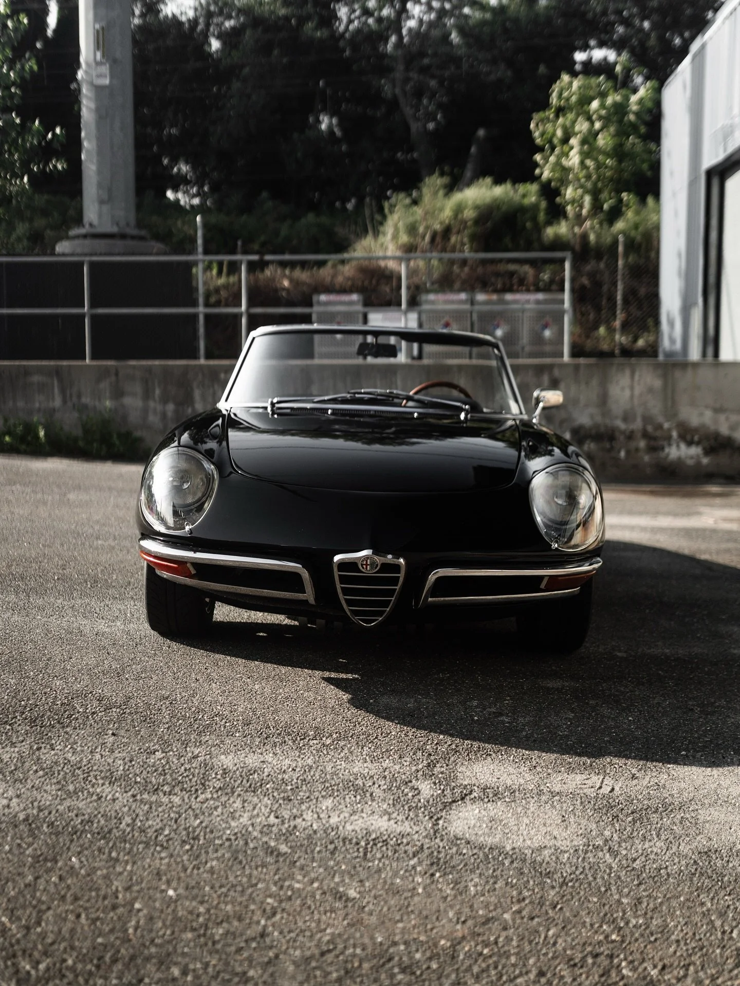 SOLD: 1969 Alfa Romeo 1750 Spider Veloce

Contact us via:
DM: @automotiverestorationsinc 
Call: 203-377-6745
Email: info@auto-restore.com 

##AlfaRomeo #AlfaRomeoSpider #1969AlfaRomeo #1750SpiderVeloce #ClassicAlfa #VintageAlfaRomeo #ItalianClassicCa