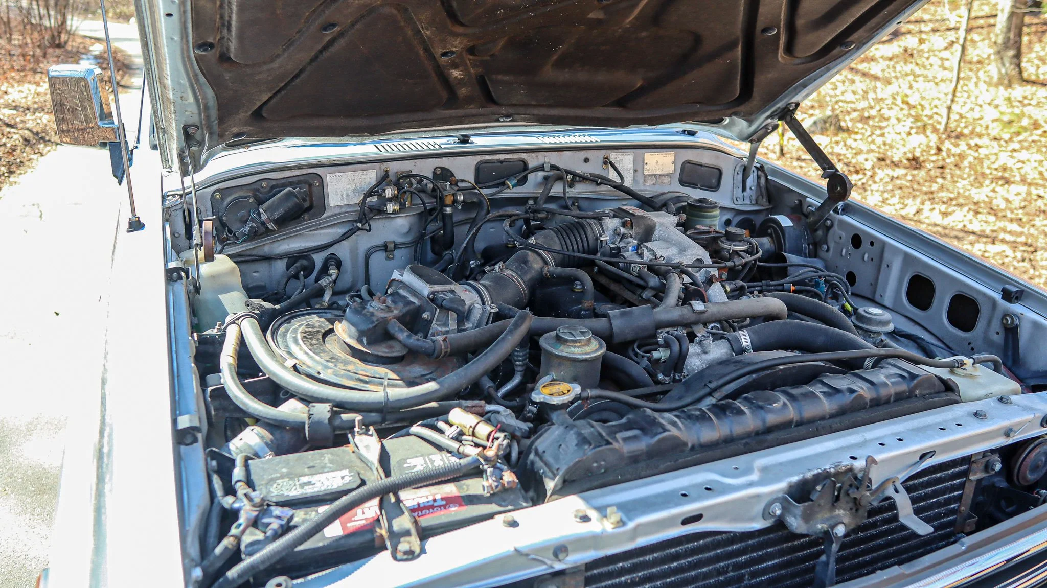 1988 Toyota Land Cruiser-1.jpg