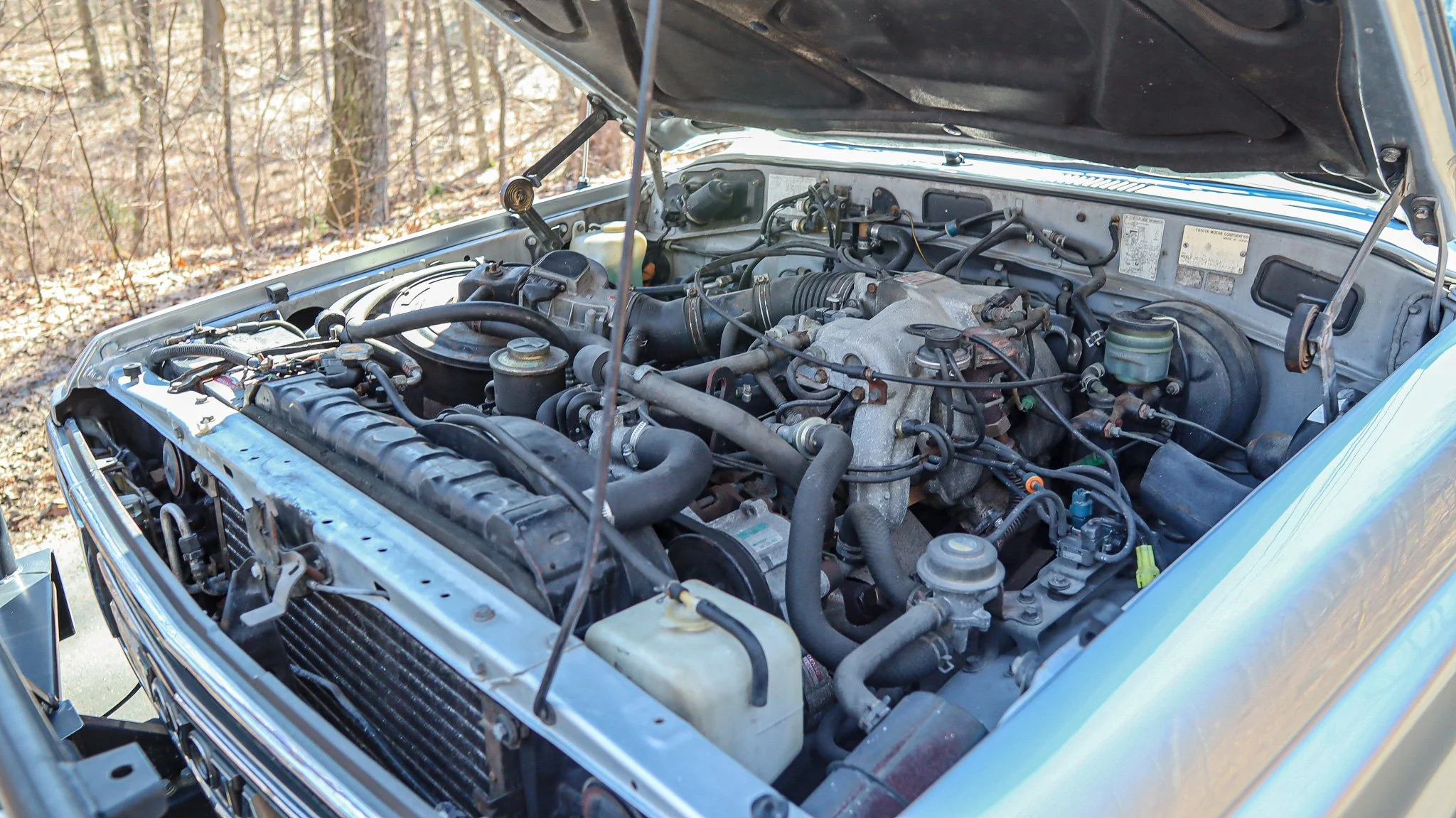 1988 Toyota Land Cruiser-2.jpg