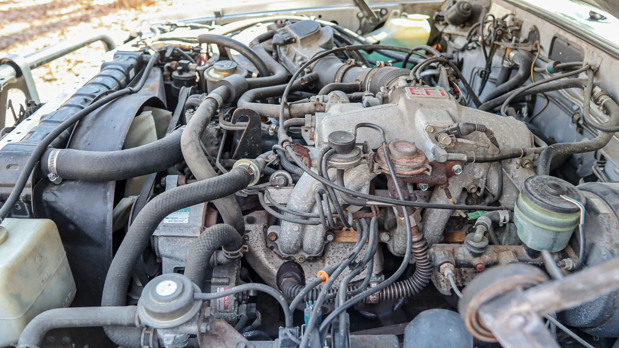 1988 Toyota Land Cruiser-7.jpg