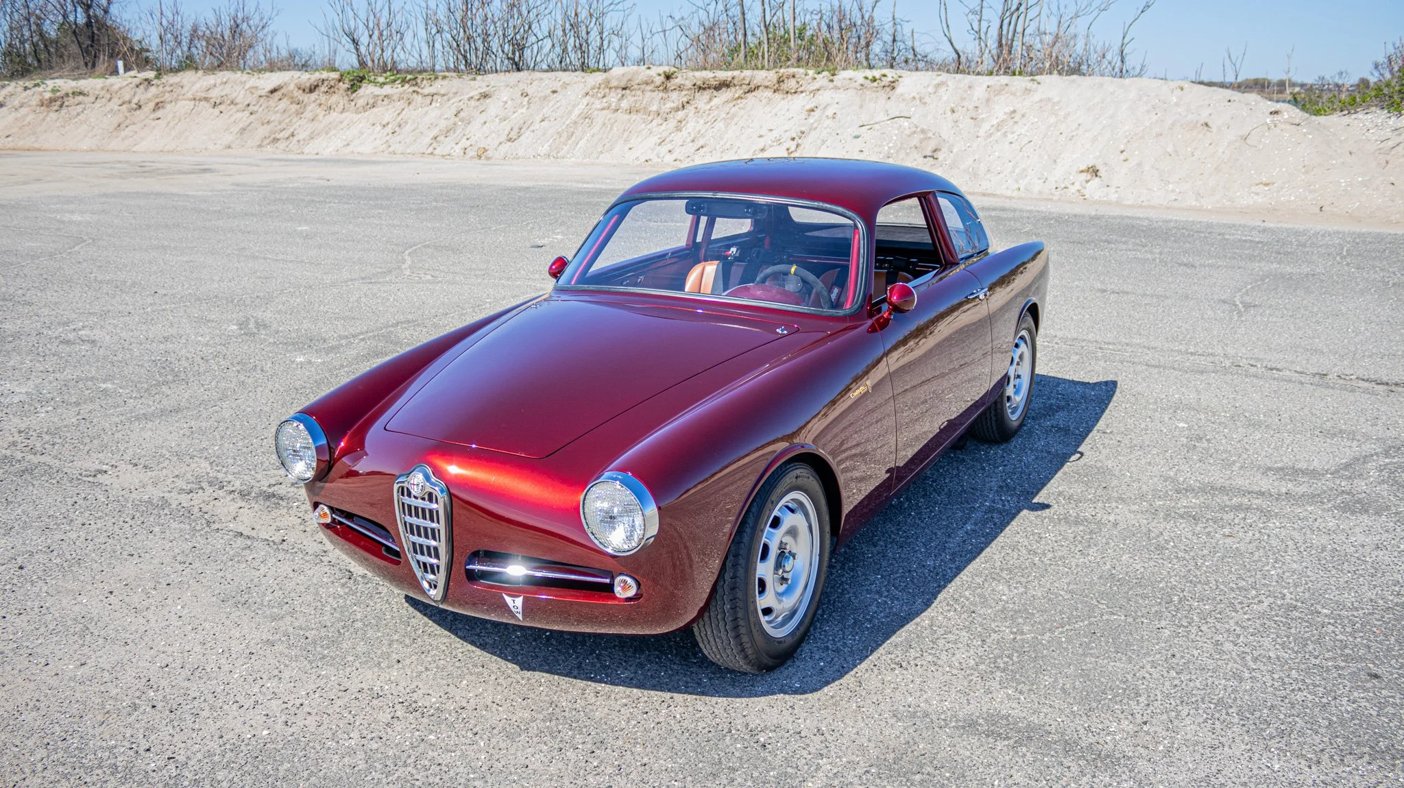 1959-Alfa-Romeo-Track-100.jpg