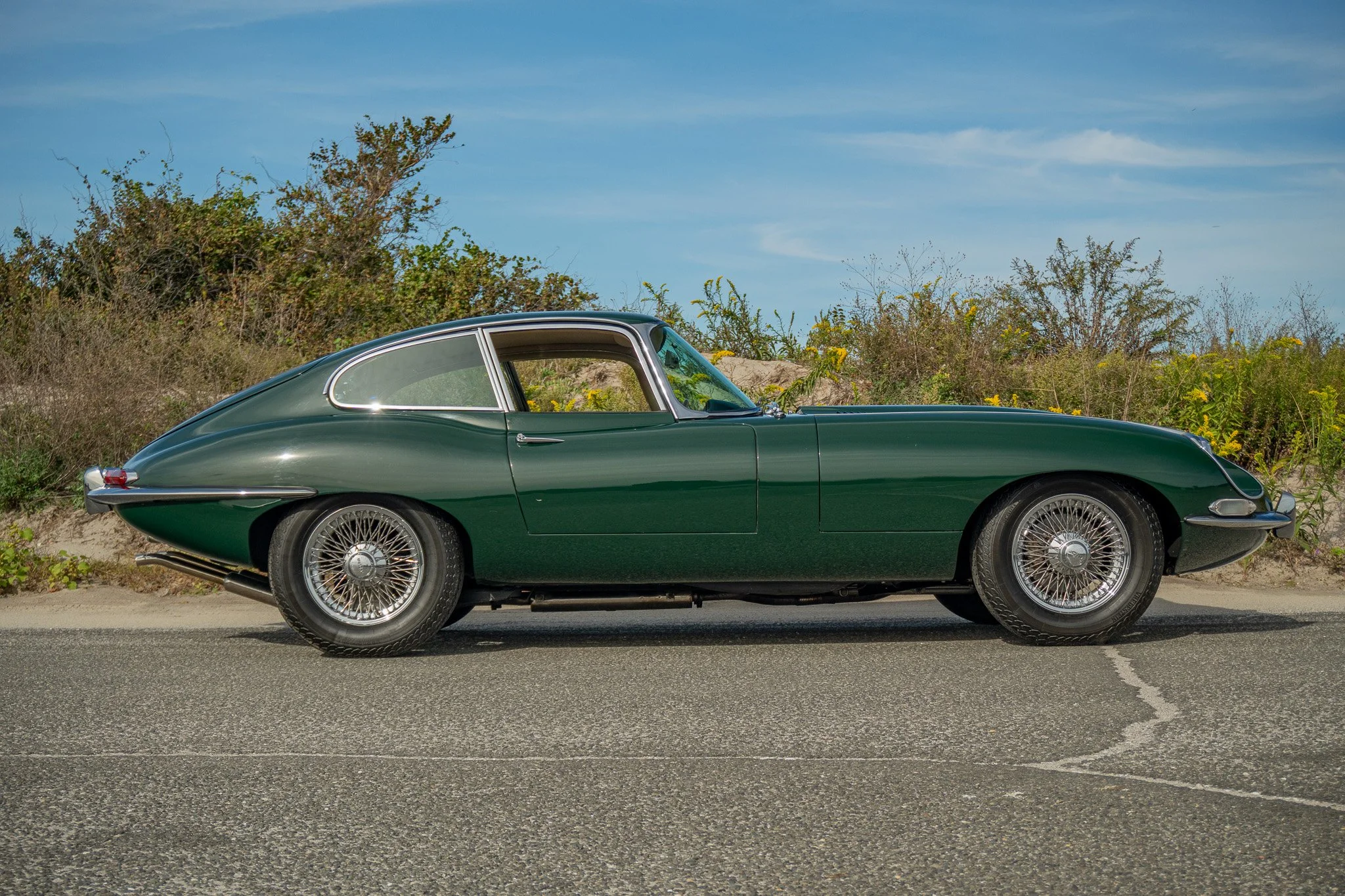 _DSC9607.jpg