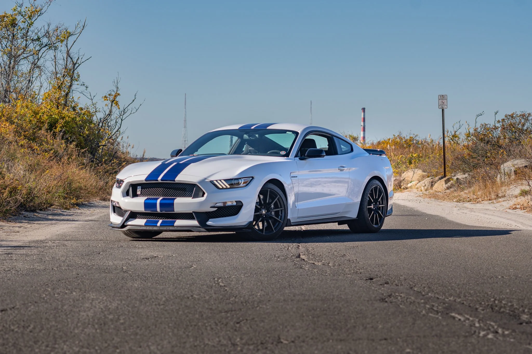2016 Shelby GT350-144.jpg