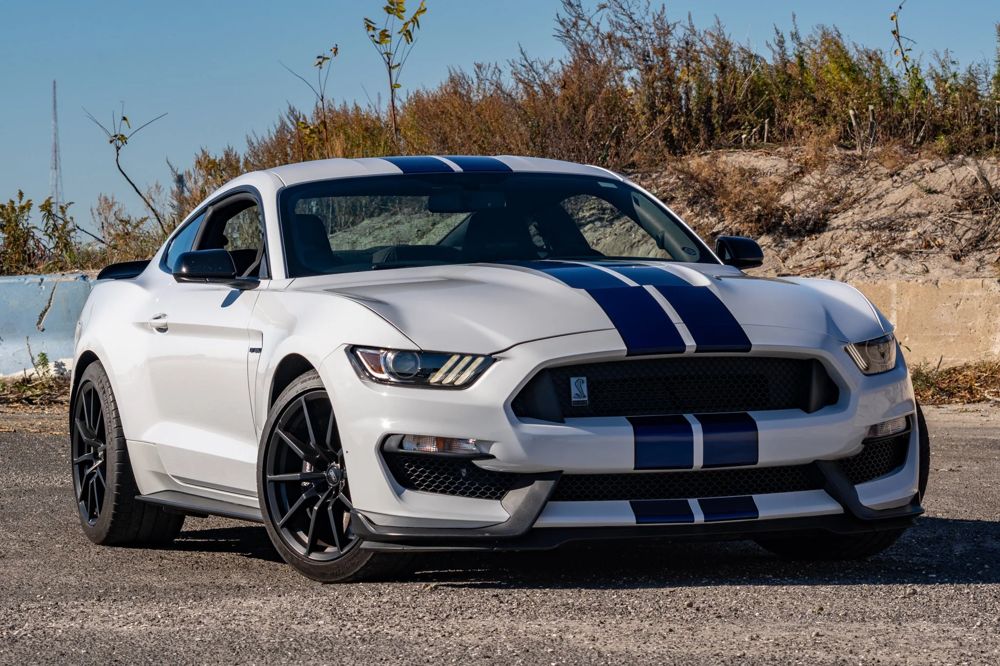 2016 Shelby GT350-142.jpg