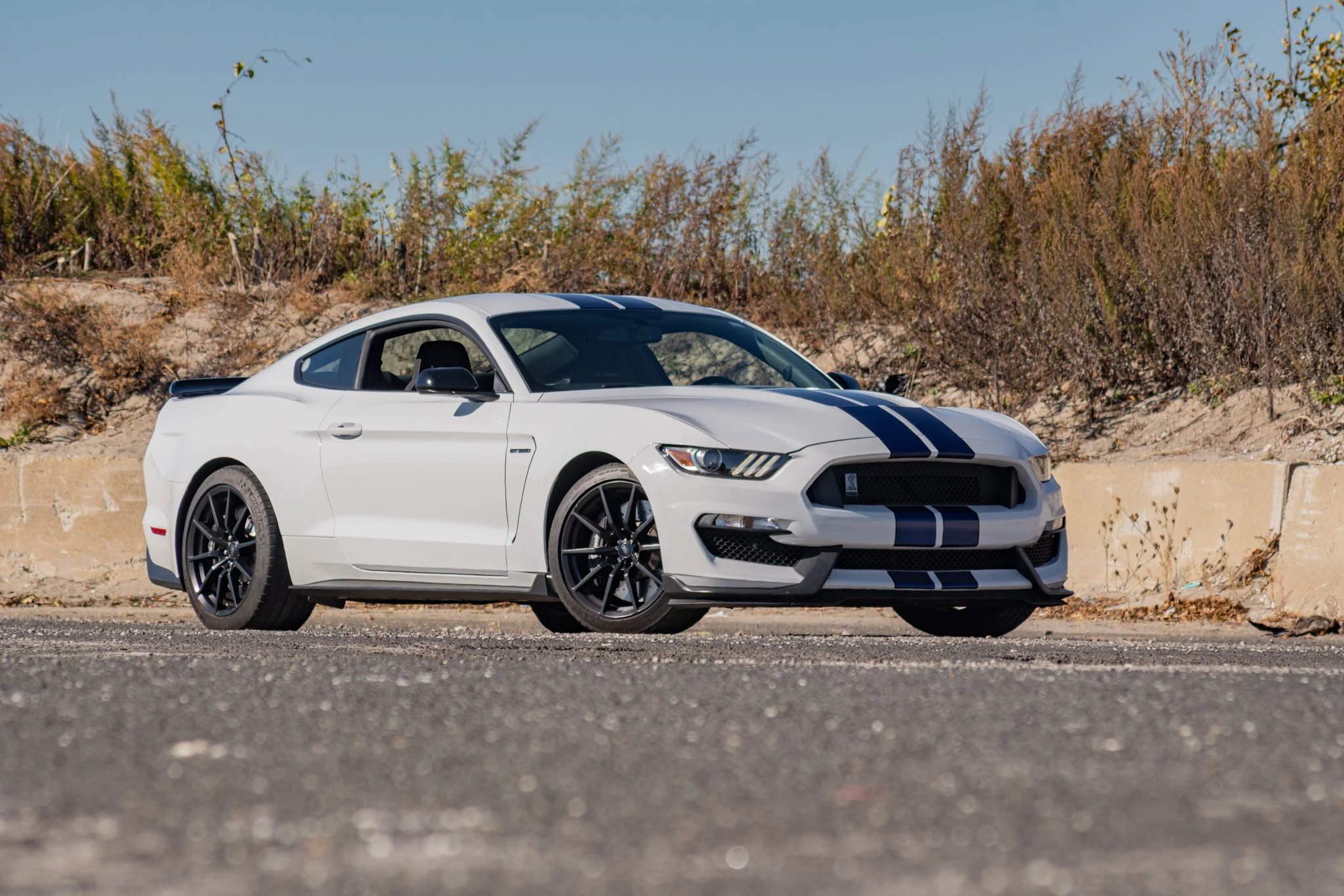 2016 Shelby GT350-141.jpg