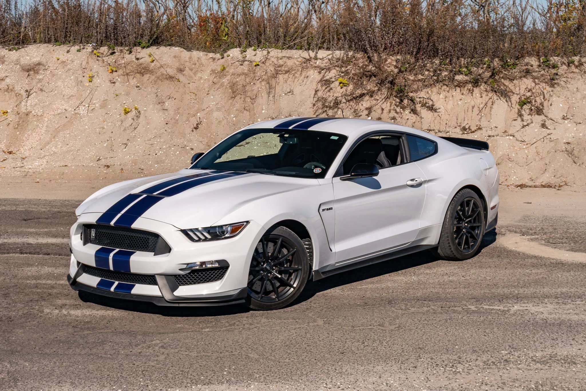 2016 Shelby GT350-137.jpg