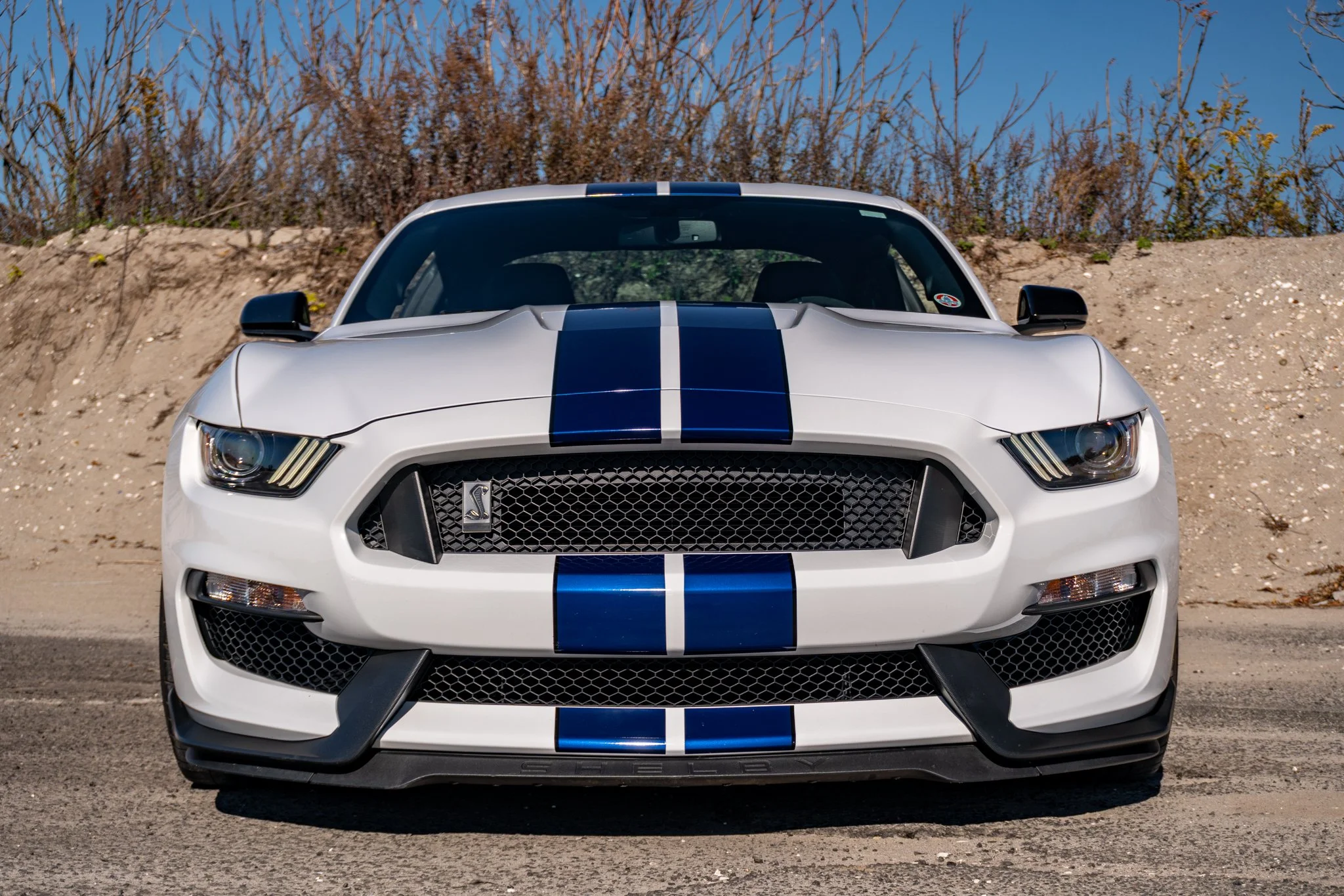 2016 Shelby GT350-123.jpg