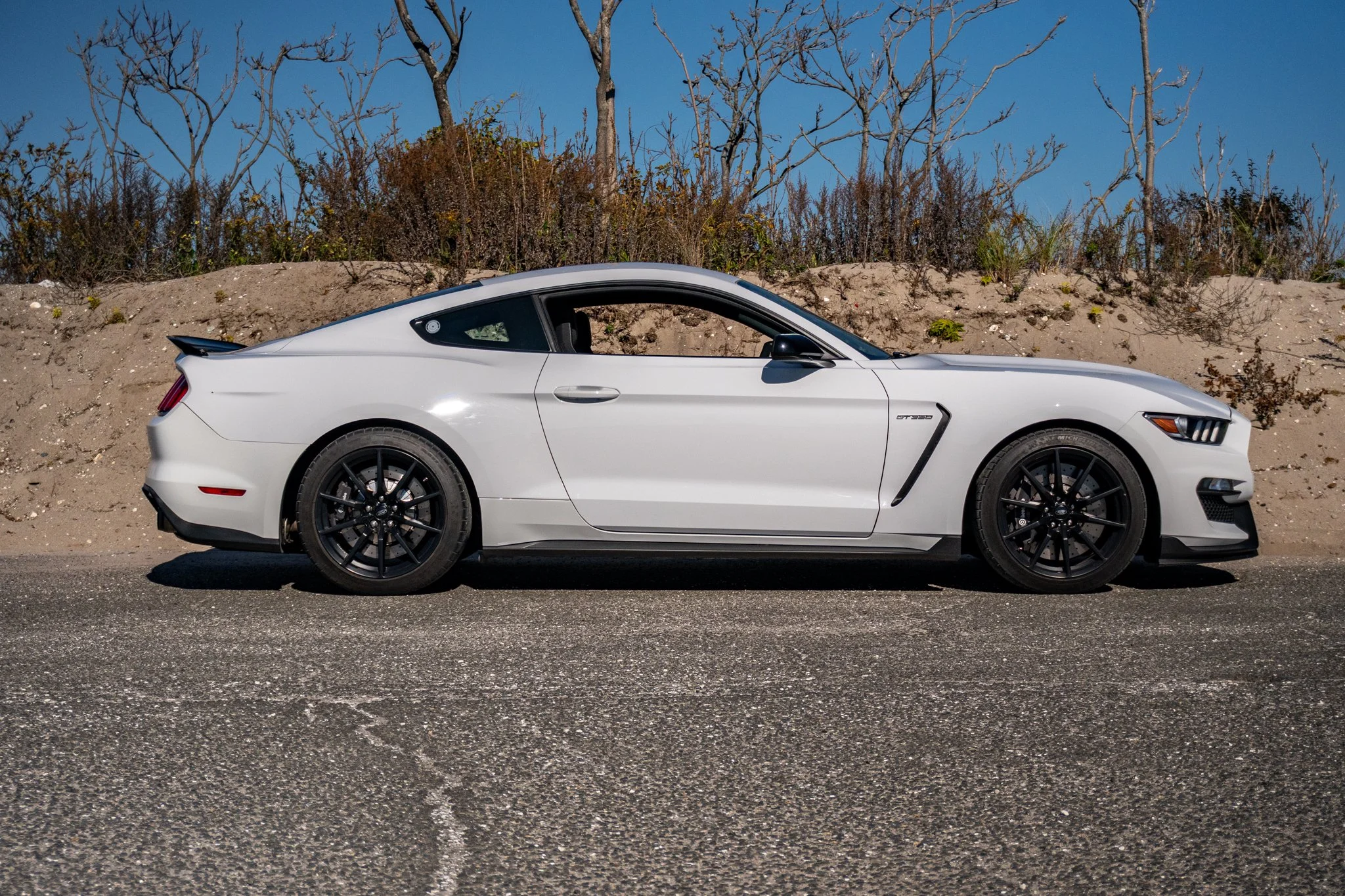 2016 Shelby GT350-115.jpg