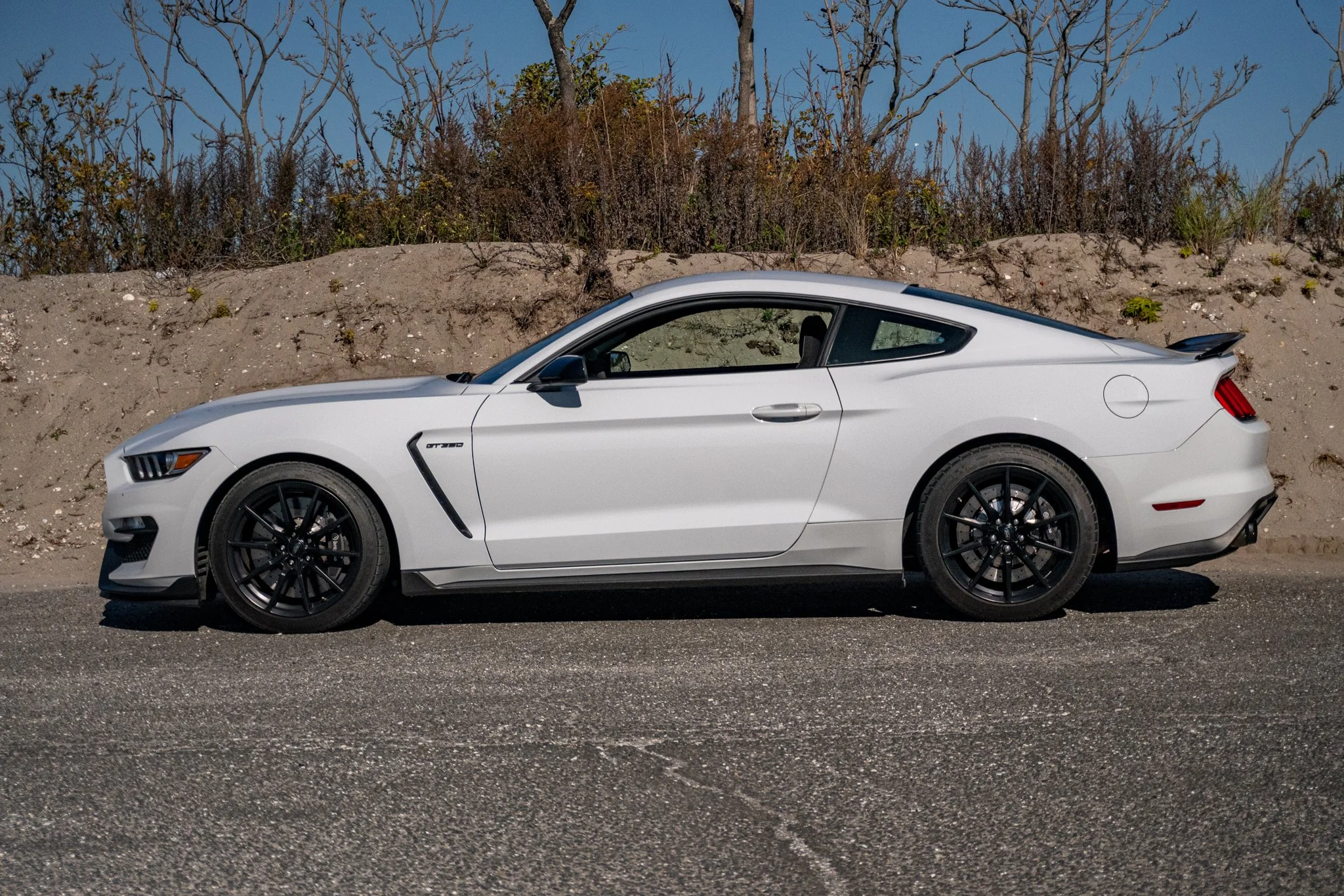 2016 Shelby GT350-106.jpg