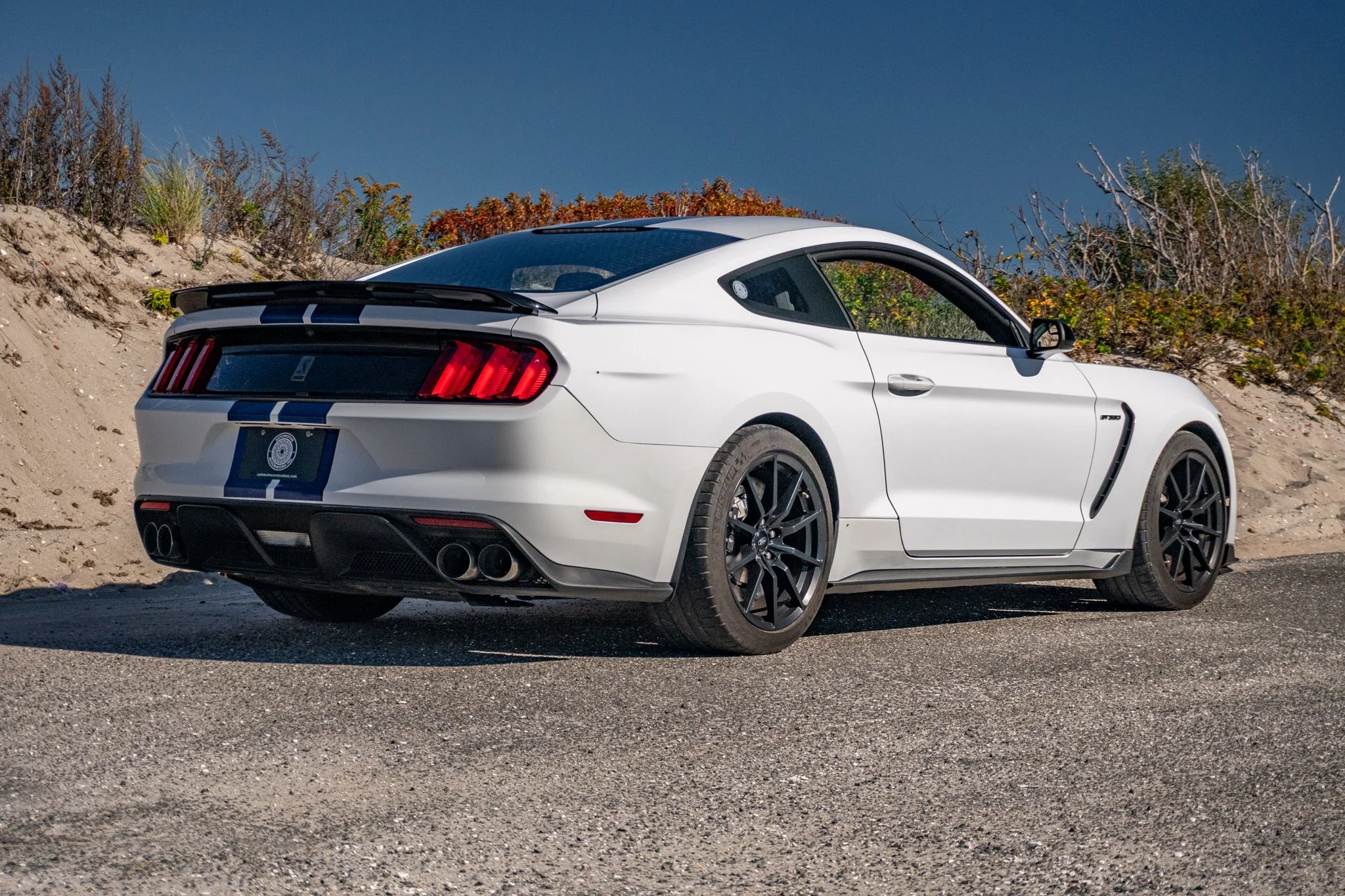 2016 Shelby GT350-116.jpg
