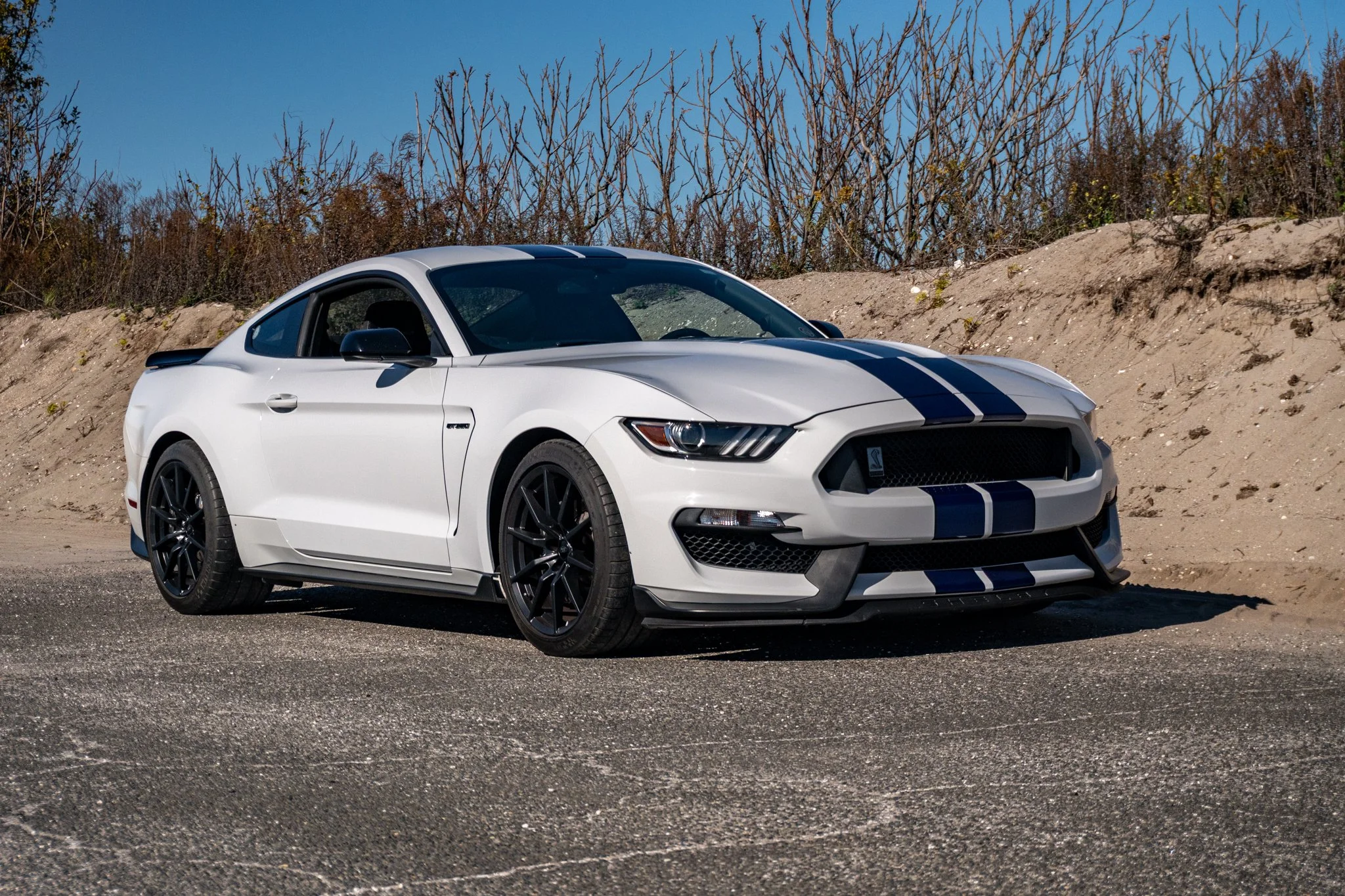 2016 Shelby GT350-117.jpg